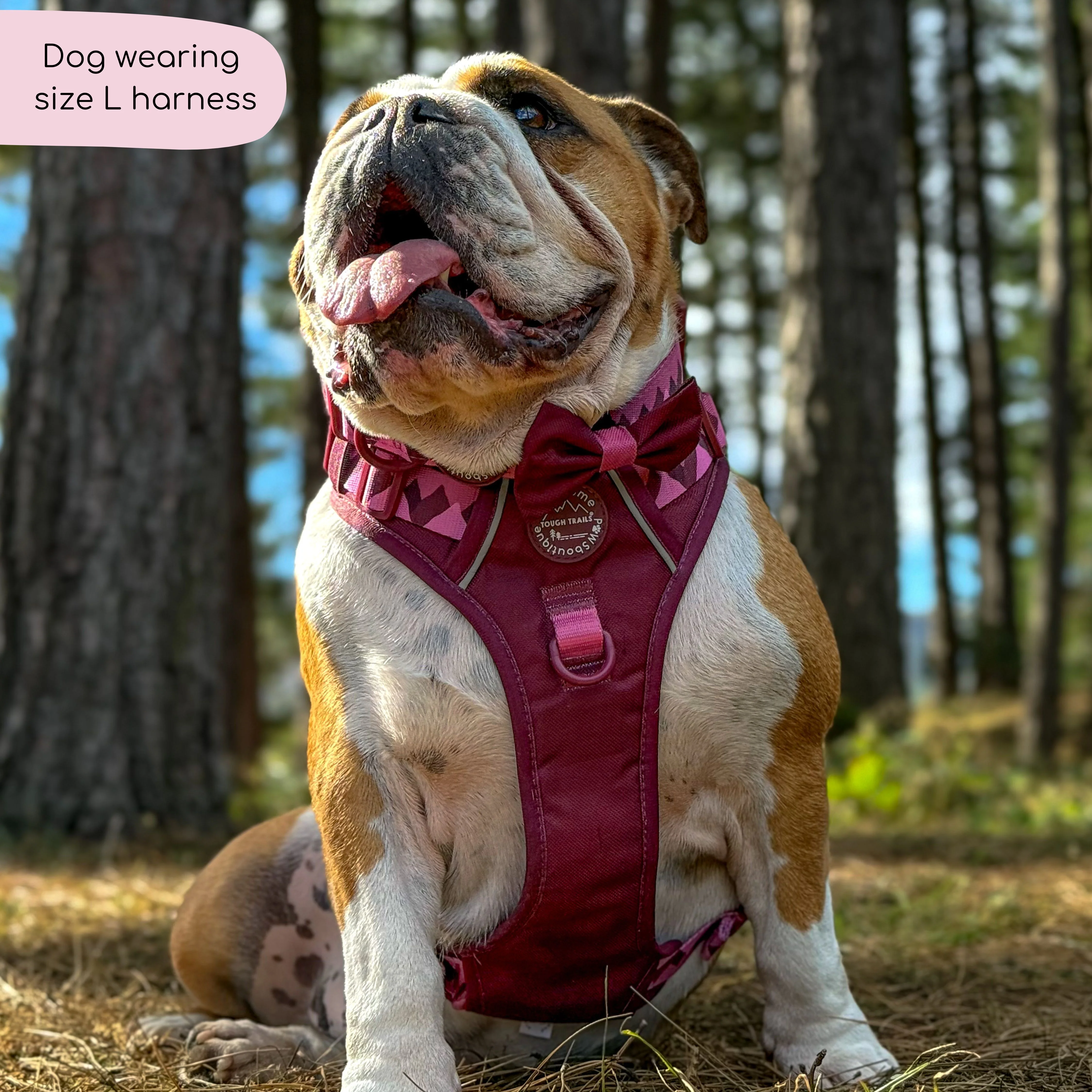 Tough Trails™ Harness - Walkies Ready® Mulberry - Image 16