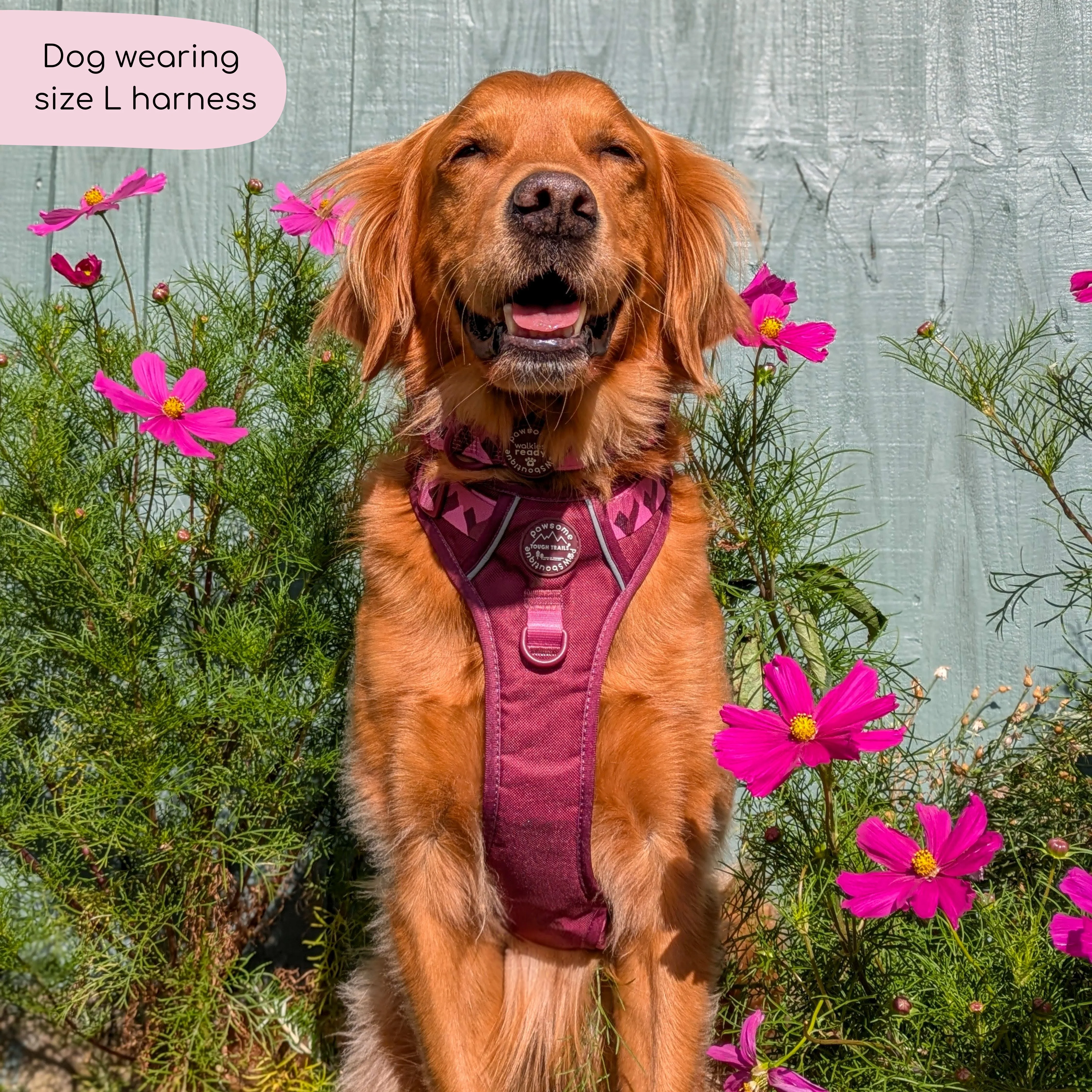 Tough Trails™ Harness - Walkies Ready® Mulberry - Image 19