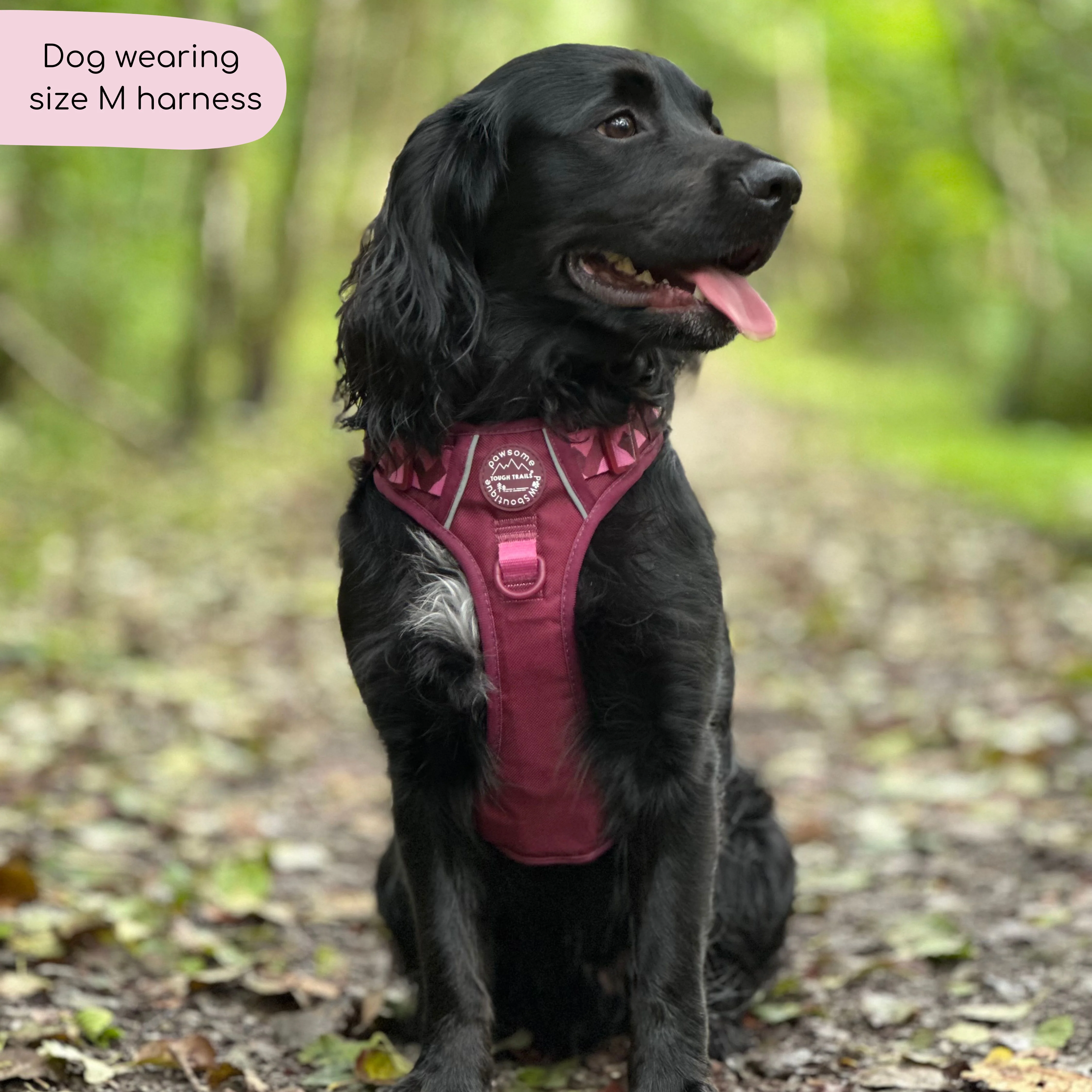 Tough Trails™ Harness - Walkies Ready® Mulberry - Image 6