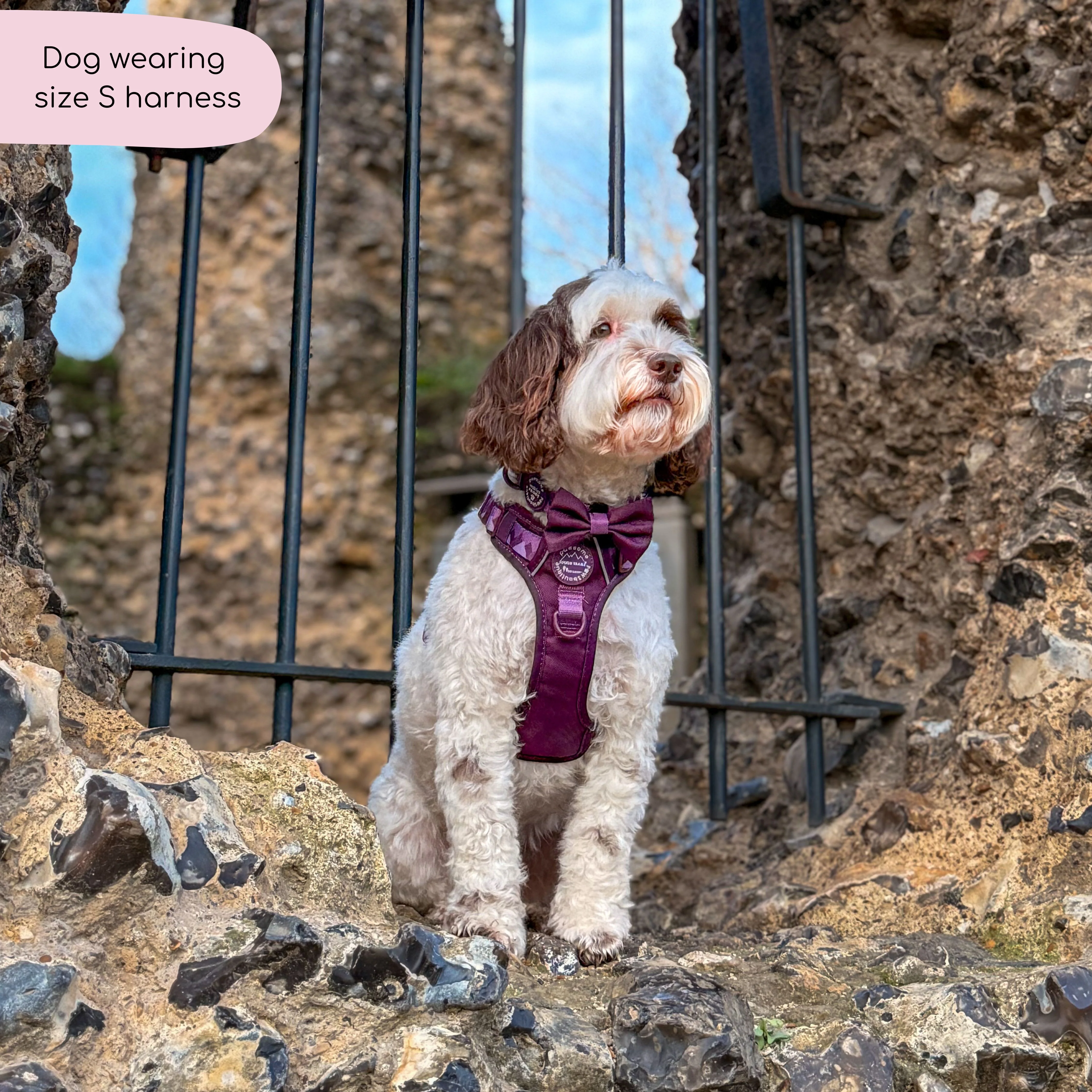 Tough Trails™ Harness - Walkies Ready® Plum - Image 10