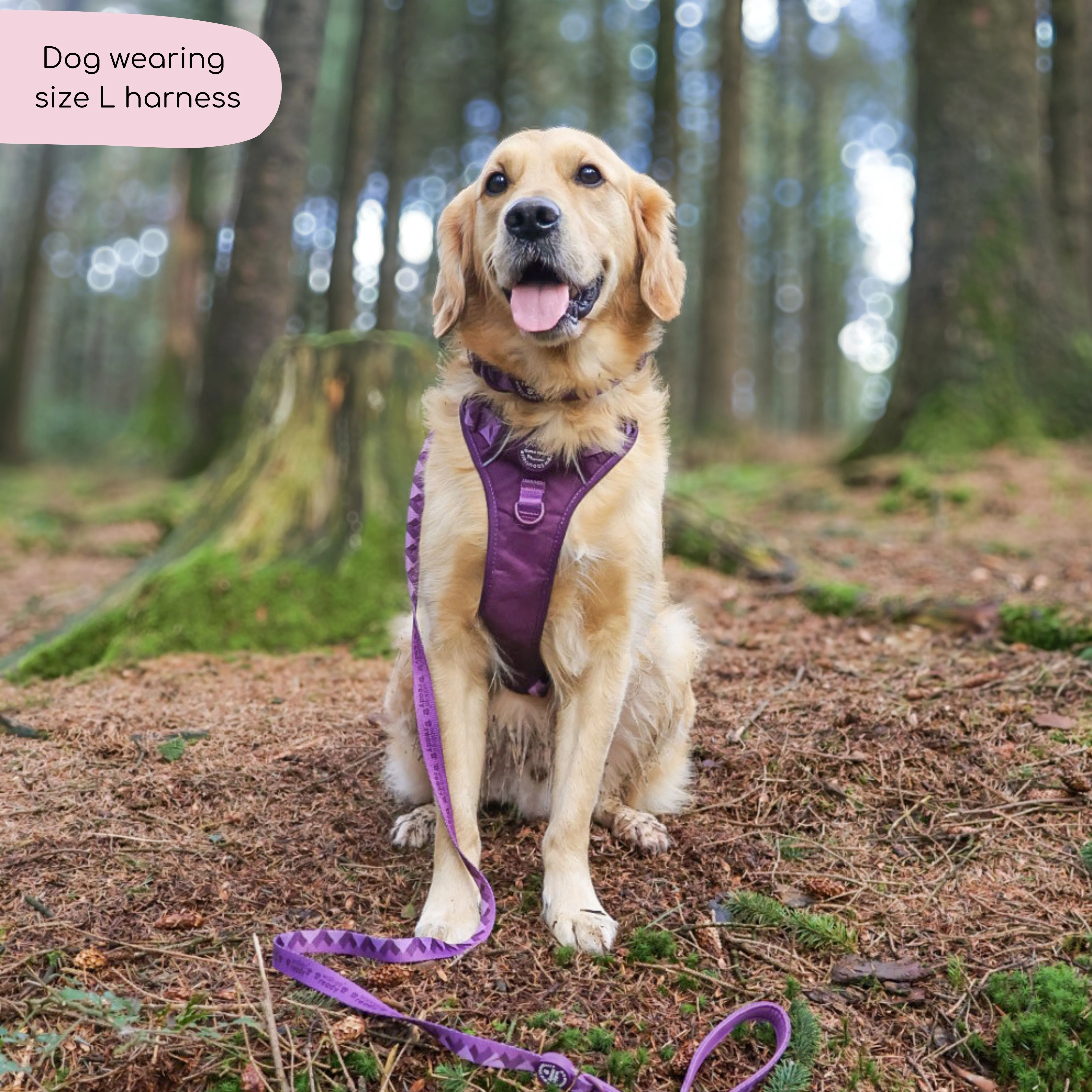 Tough Trails™ Harness - Walkies Ready® Plum - Image 11