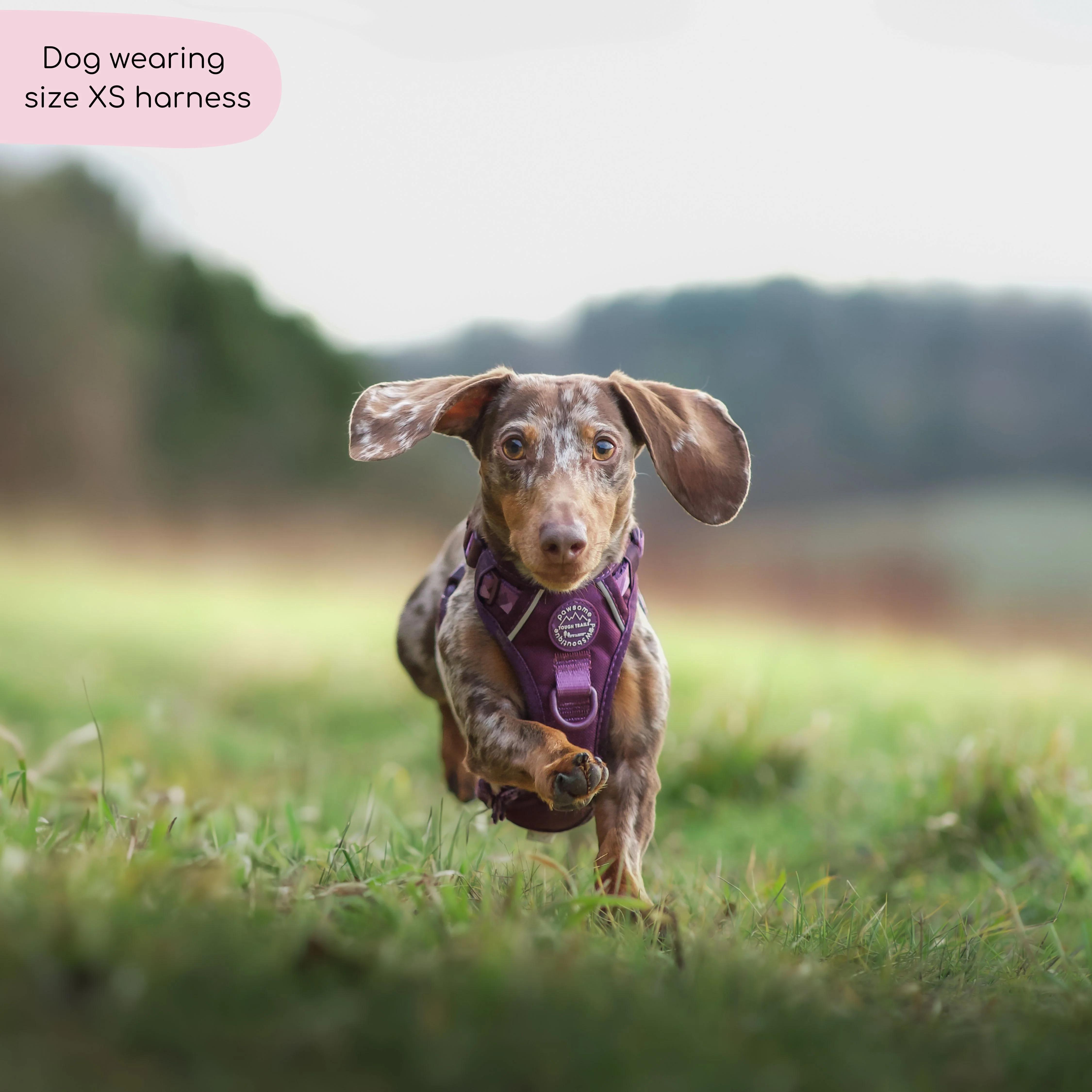 Tough Trails™ Harness - Walkies Ready® Plum - Image 12