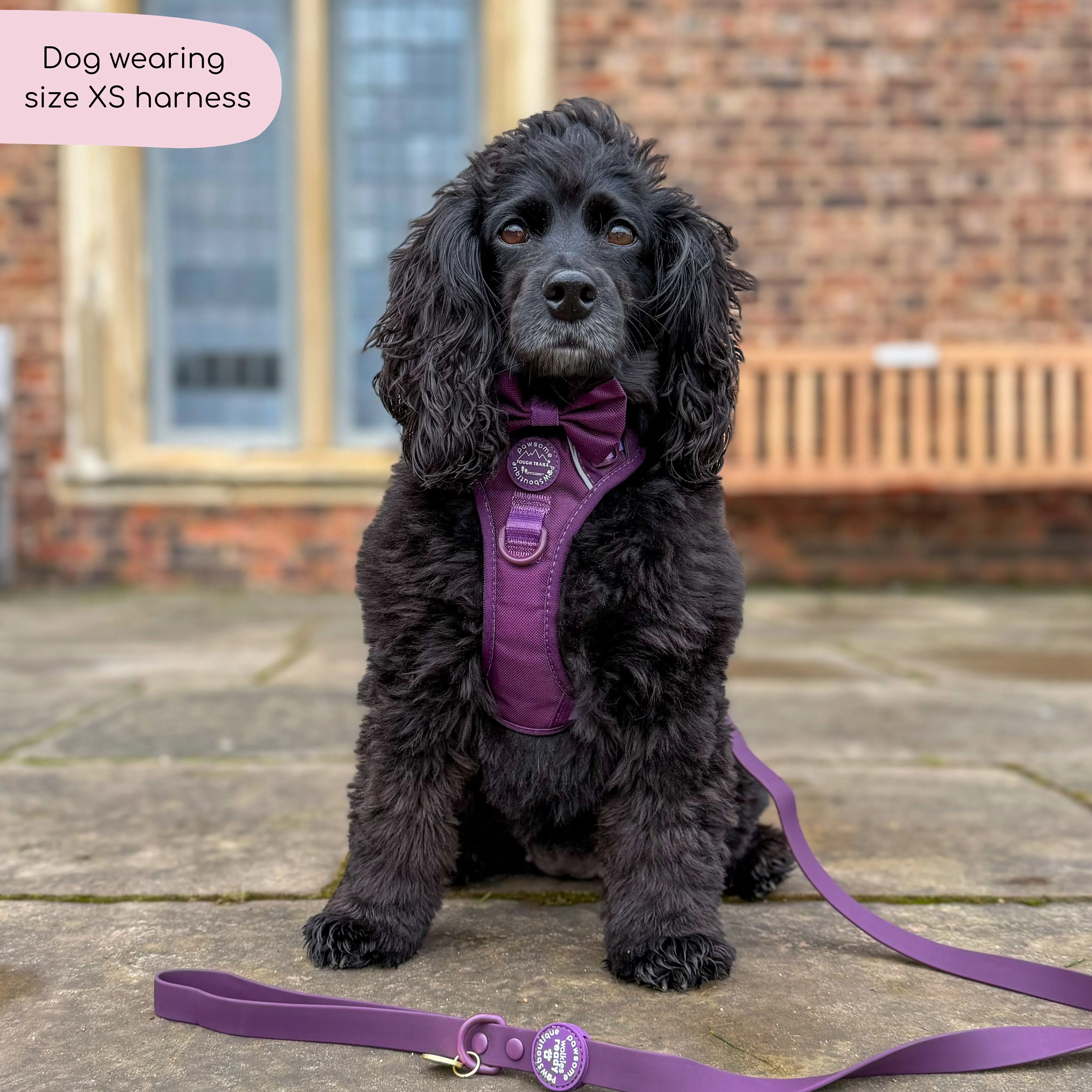 Tough Trails™ Harness - Walkies Ready® Plum - Image 13