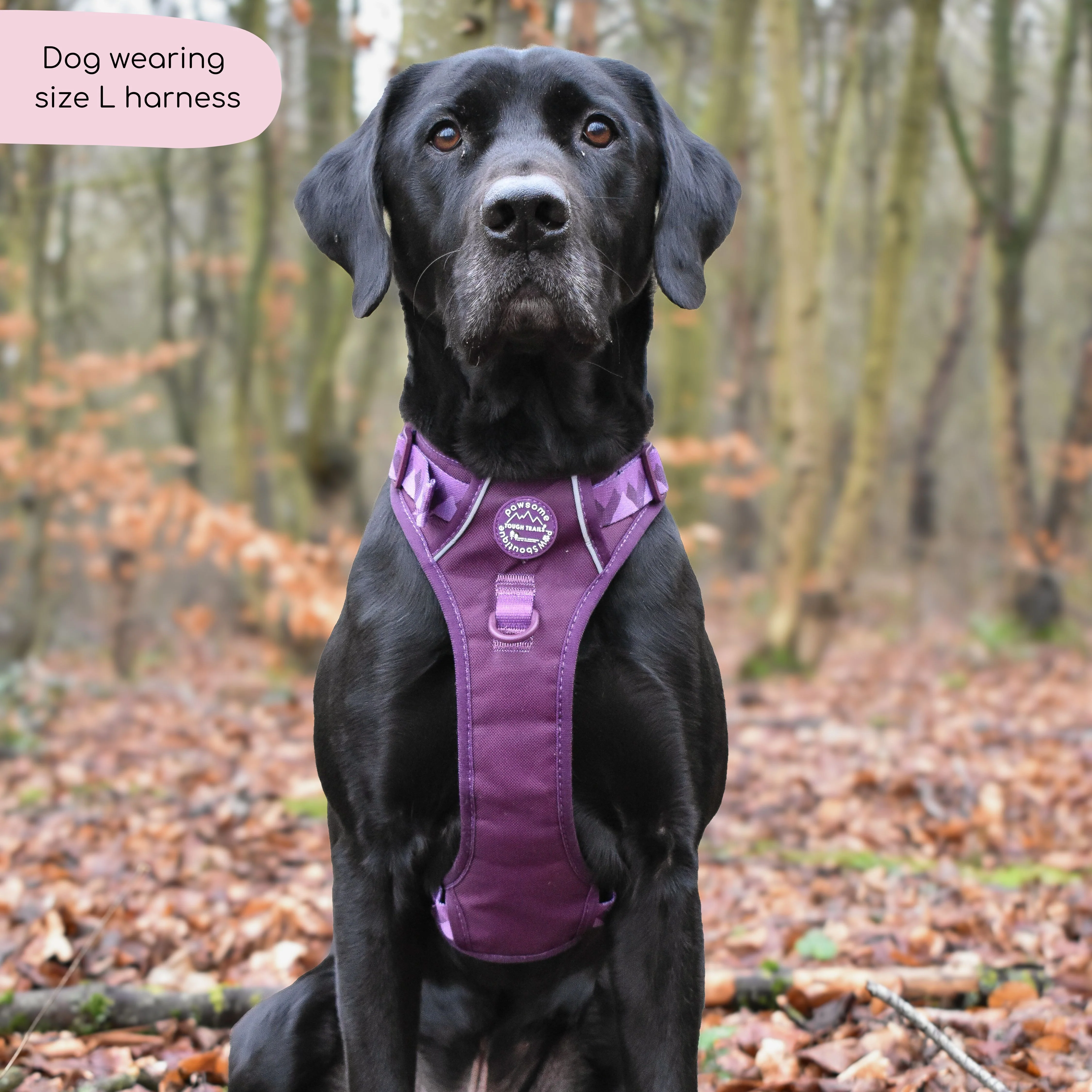 Tough Trails™ Harness - Walkies Ready® Plum - Image 15