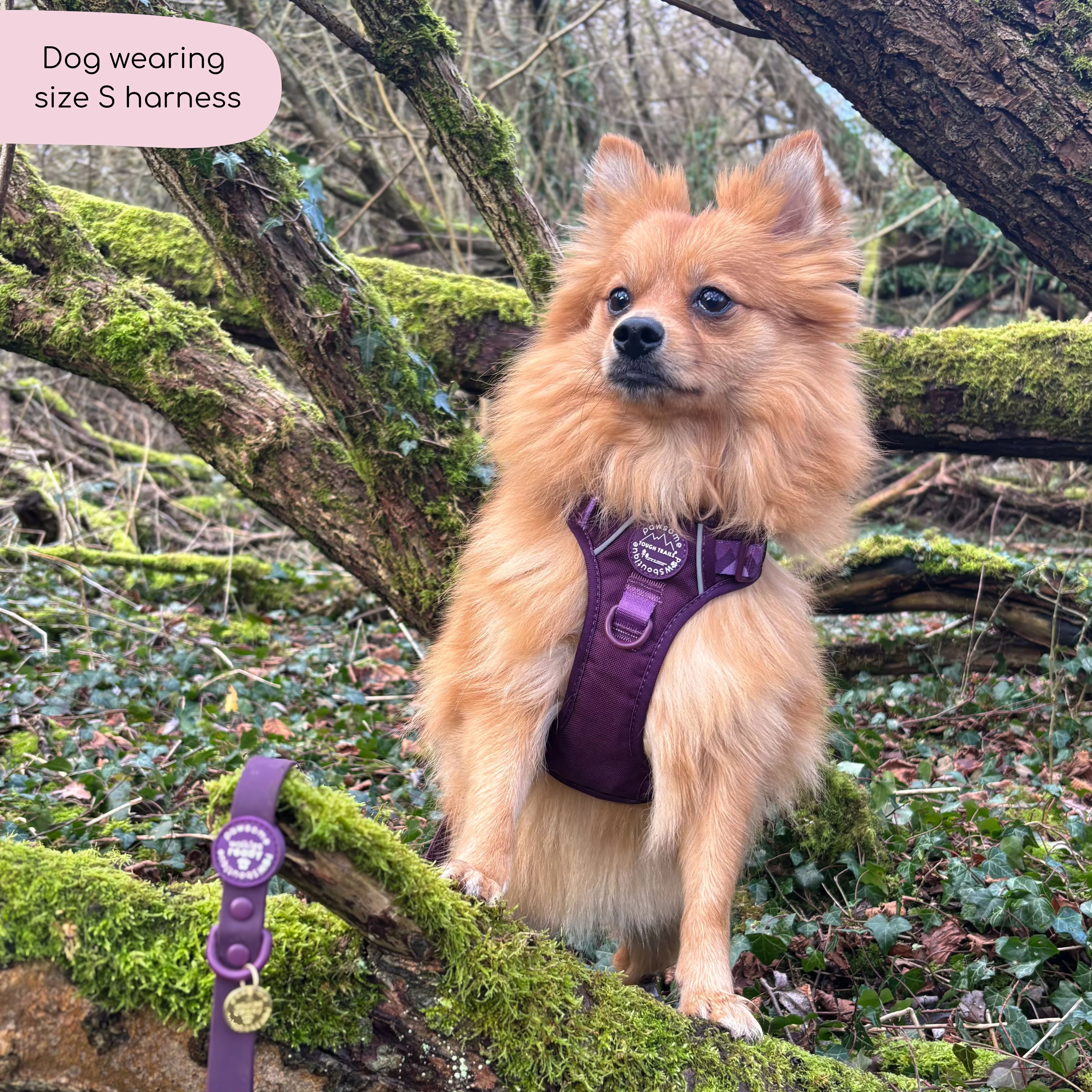Tough Trails™ Harness - Walkies Ready® Plum - Image 16