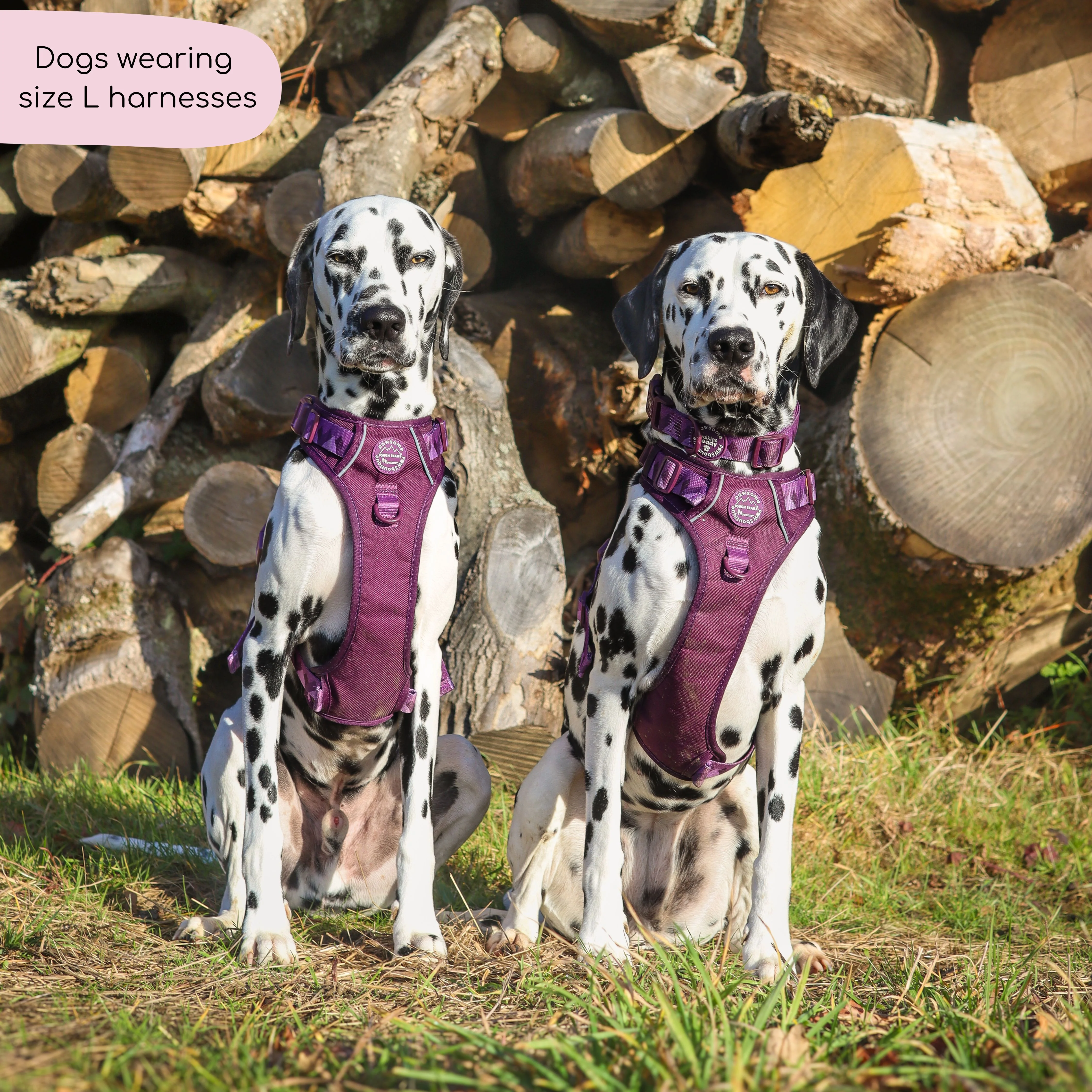 Tough Trails™ Harness - Walkies Ready® Plum - Image 17