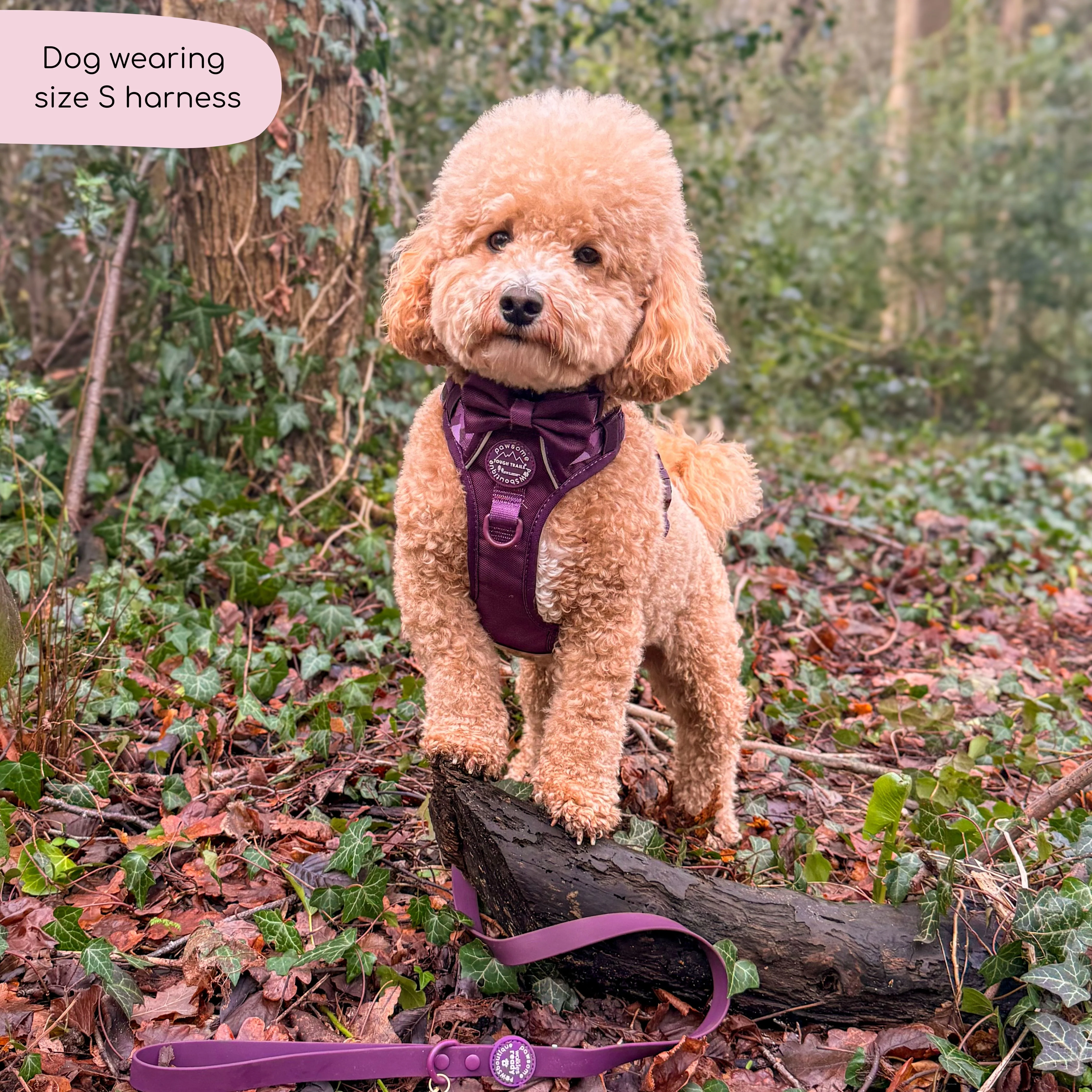 Tough Trails™ Harness - Walkies Ready® Plum - Image 18