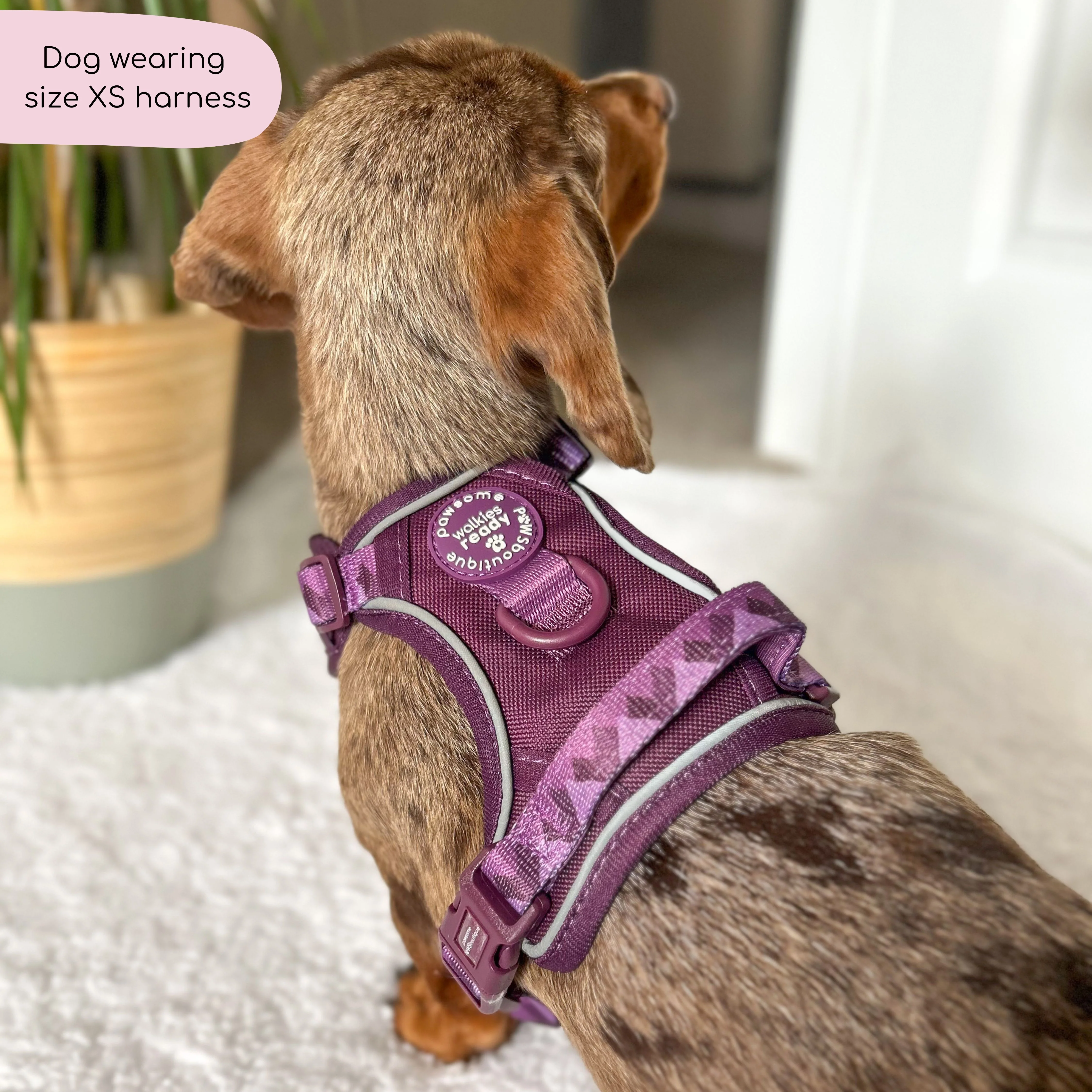 Tough Trails™ Harness - Walkies Ready® Plum - Image 19
