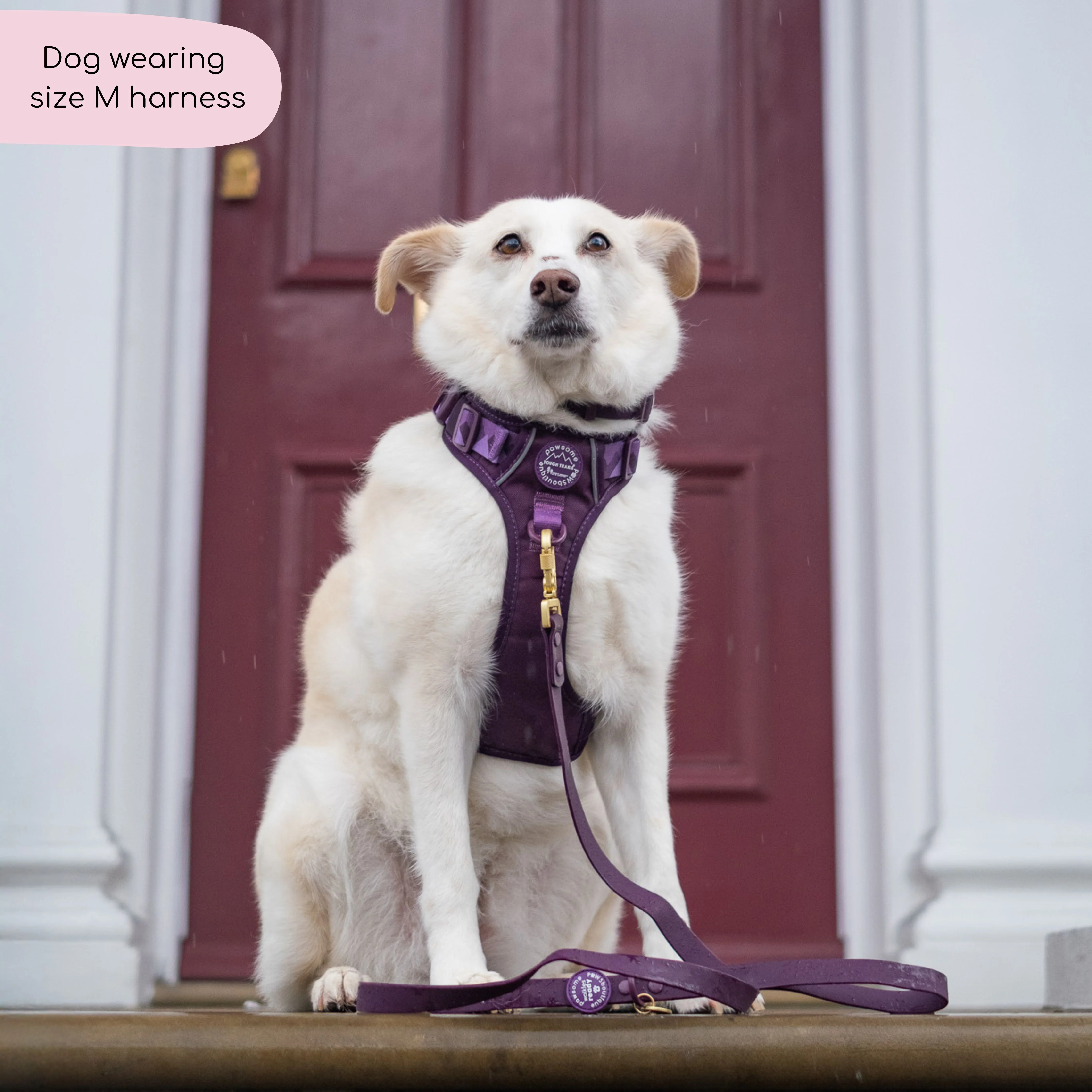 Tough Trails™ Harness - Walkies Ready® Plum - Image 20
