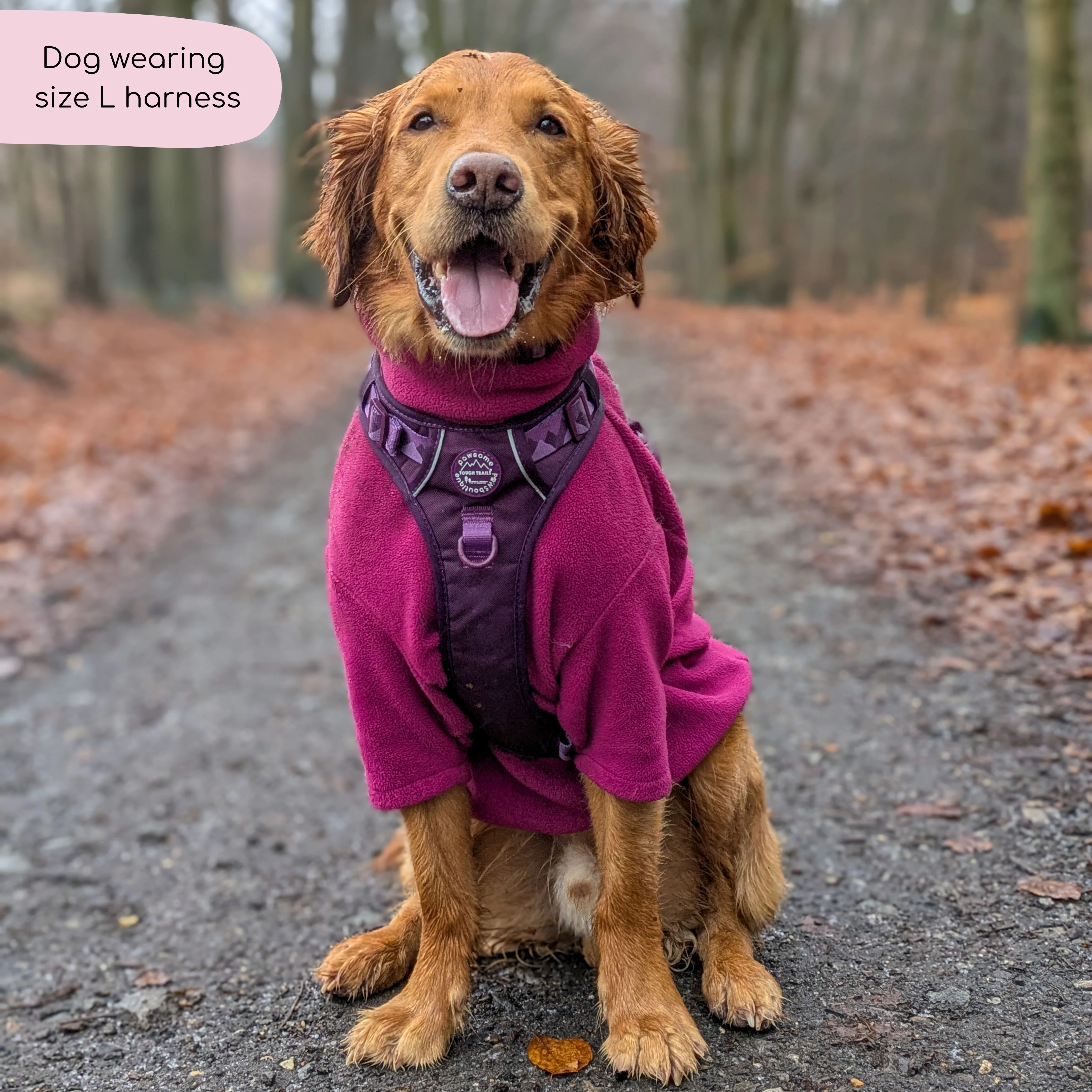 Tough Trails™ Harness - Walkies Ready® Plum - Image 23