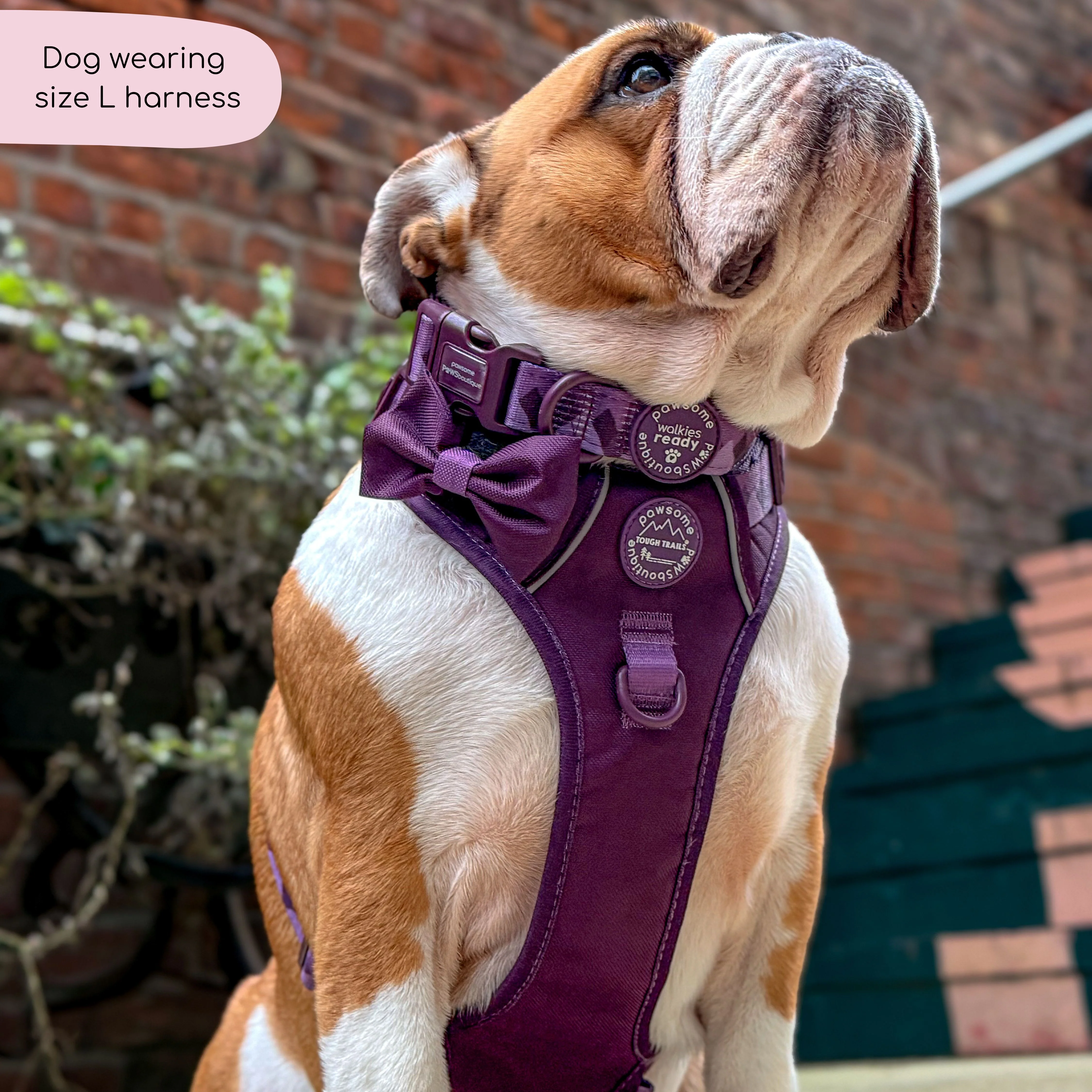 Tough Trails™ Harness - Walkies Ready® Plum - Image 8