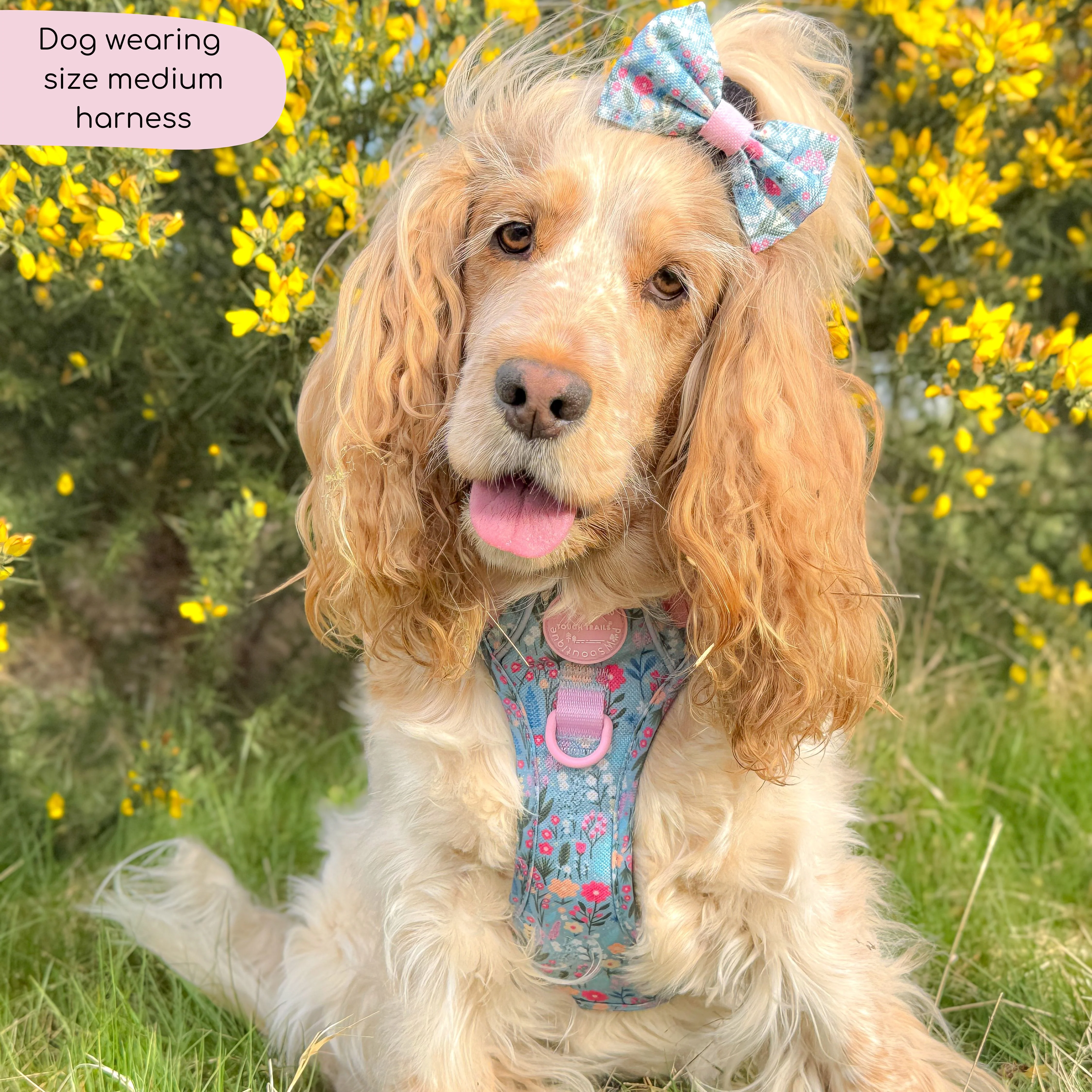 Tough Trails⢠Harness - Whimsical Wildflowers - Image 18