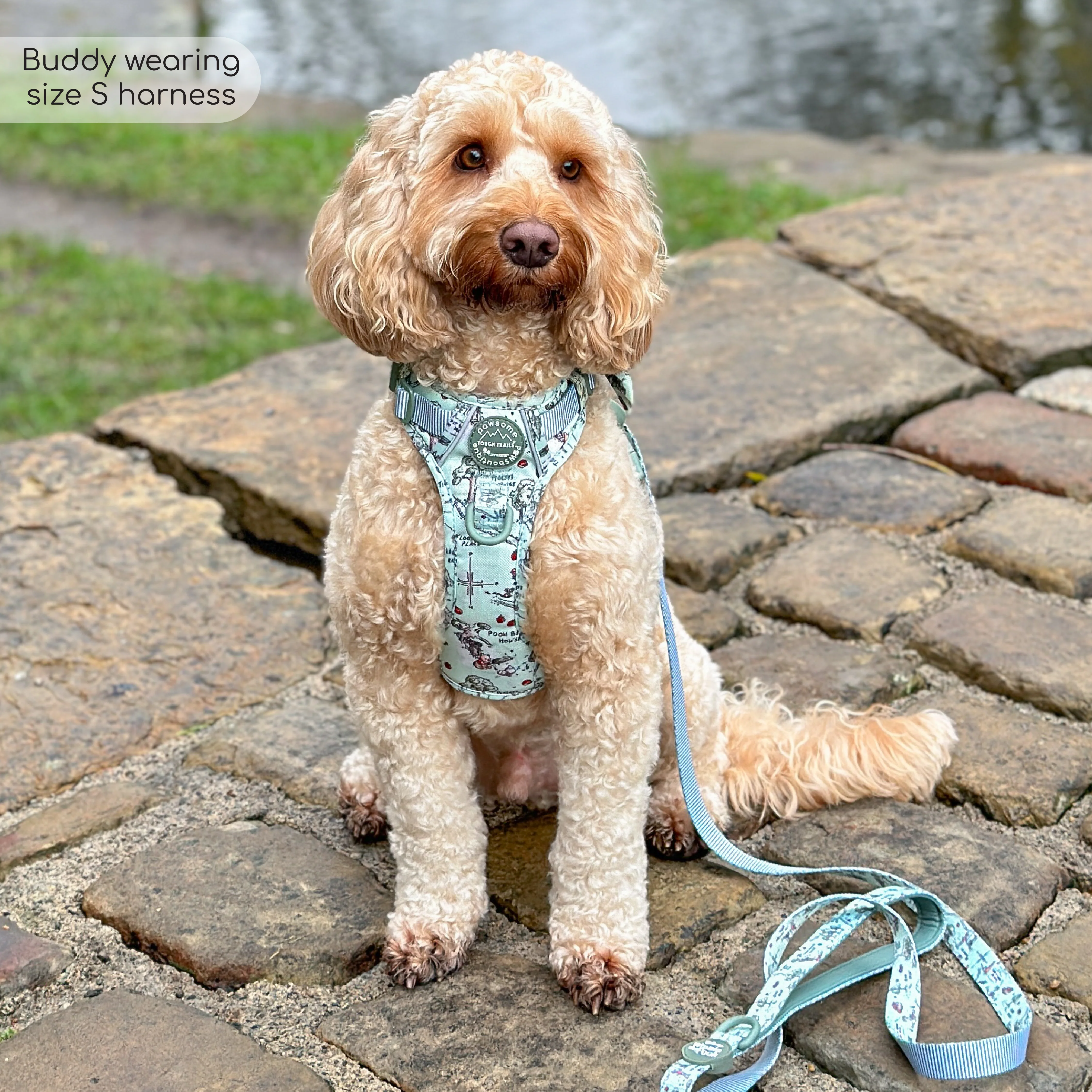 Disney© Tough Trails™ Harness - 100 Aker Wood - Image 38