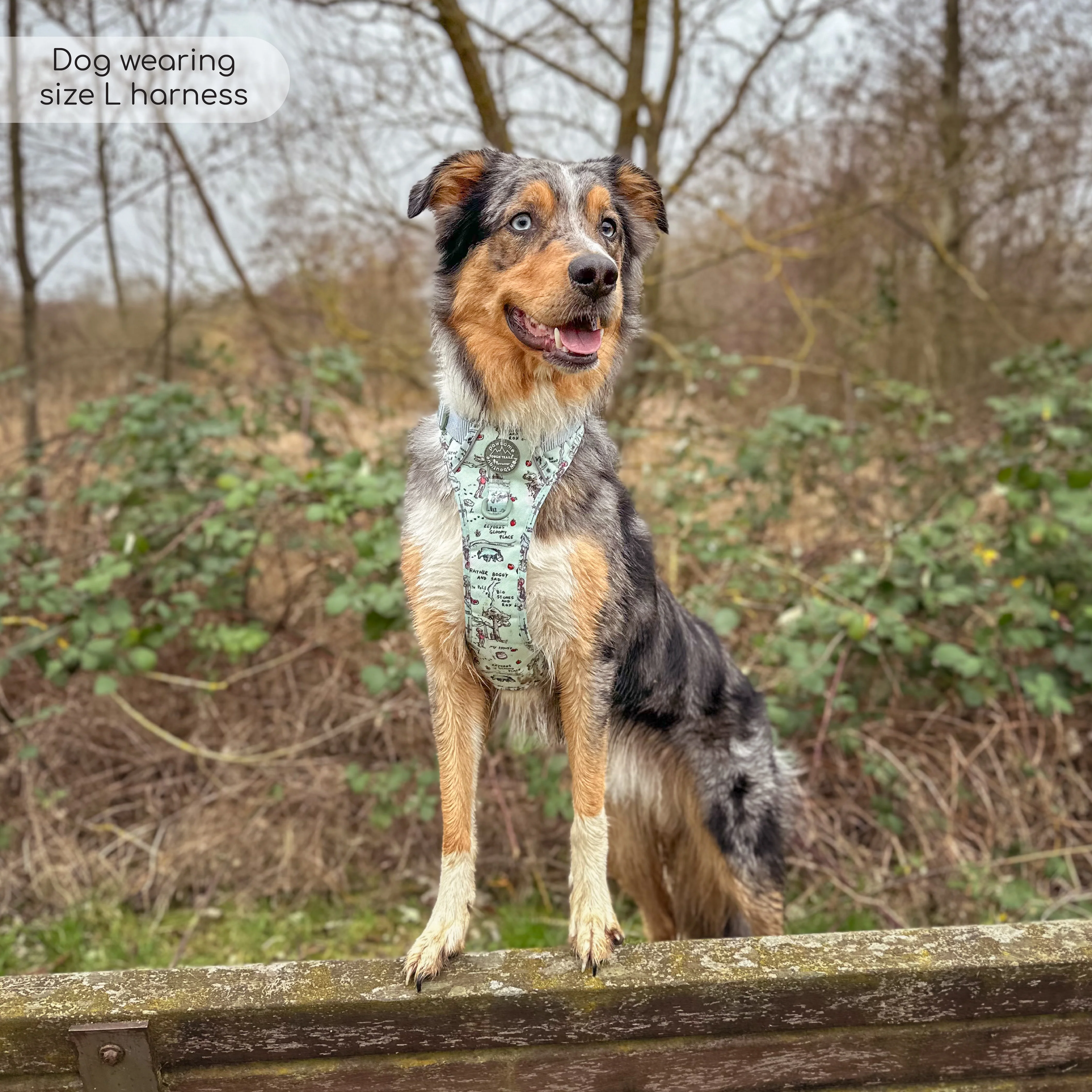 Disney© Tough Trails™ Harness - 100 Aker Wood - Image 41