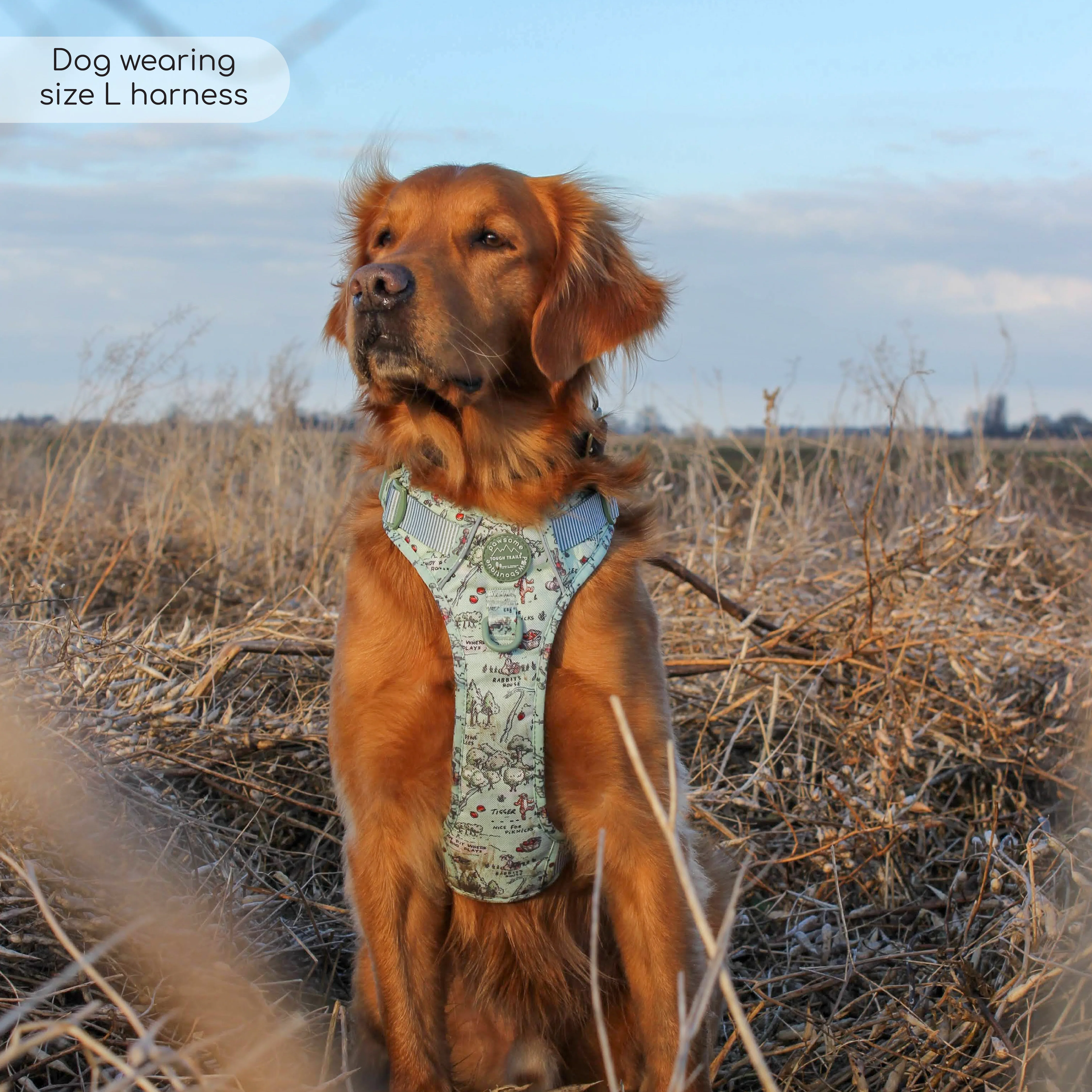Disney© Tough Trails™ Harness - 100 Aker Wood - Image 7