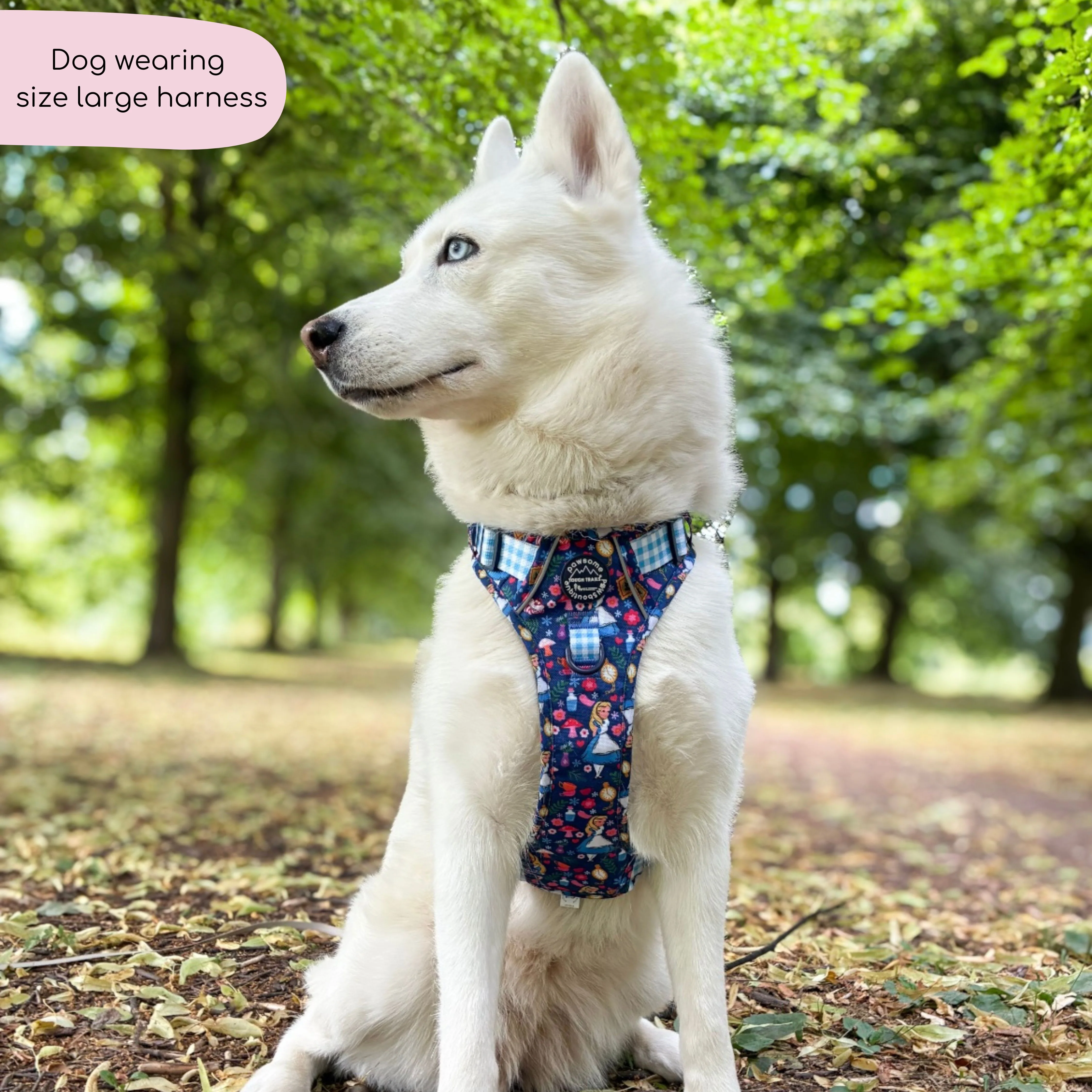 Disney© Tough Trails™ Harness - Alice In Wonderland - Image 15