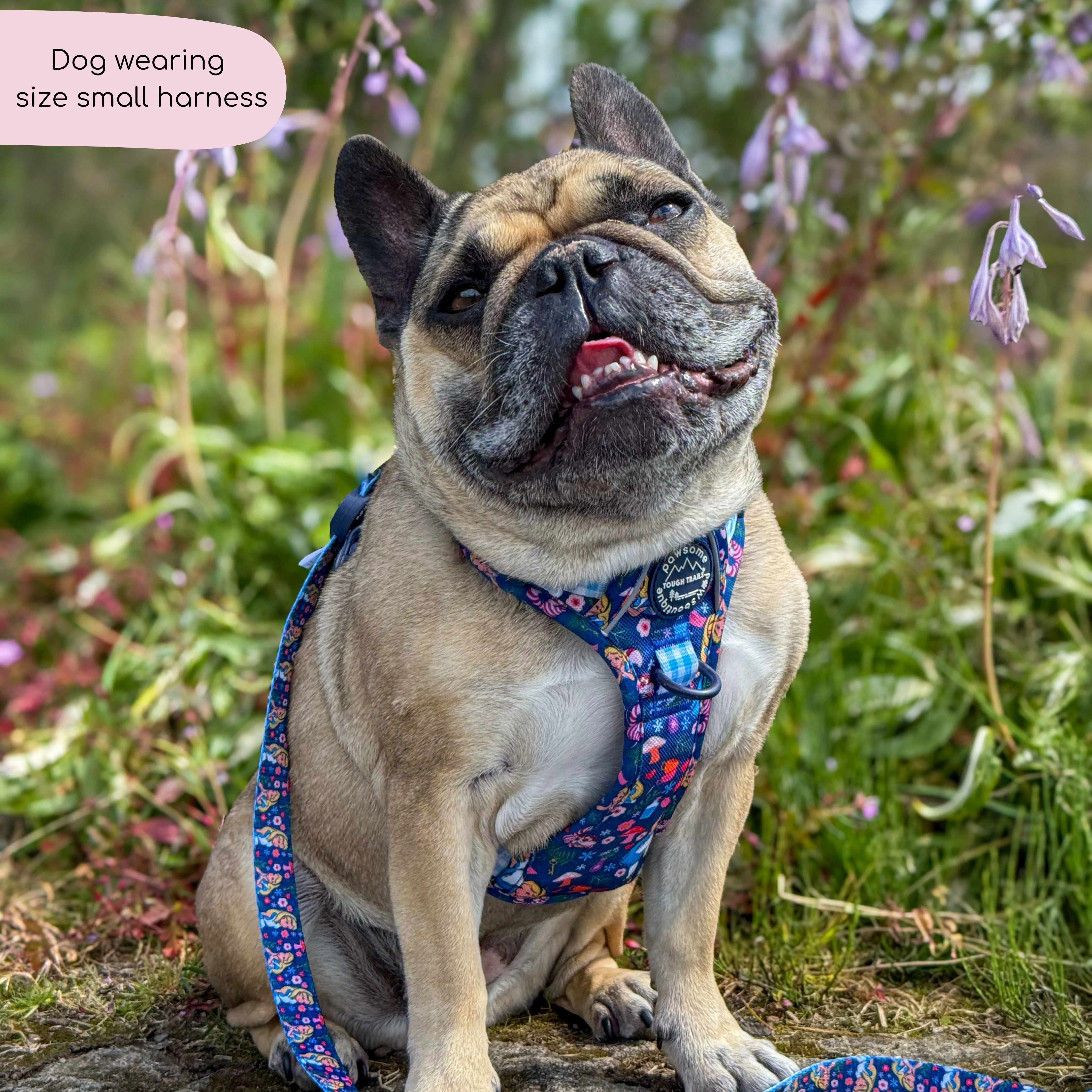 Disney© Tough Trails™ Harness - Alice In Wonderland - Image 17