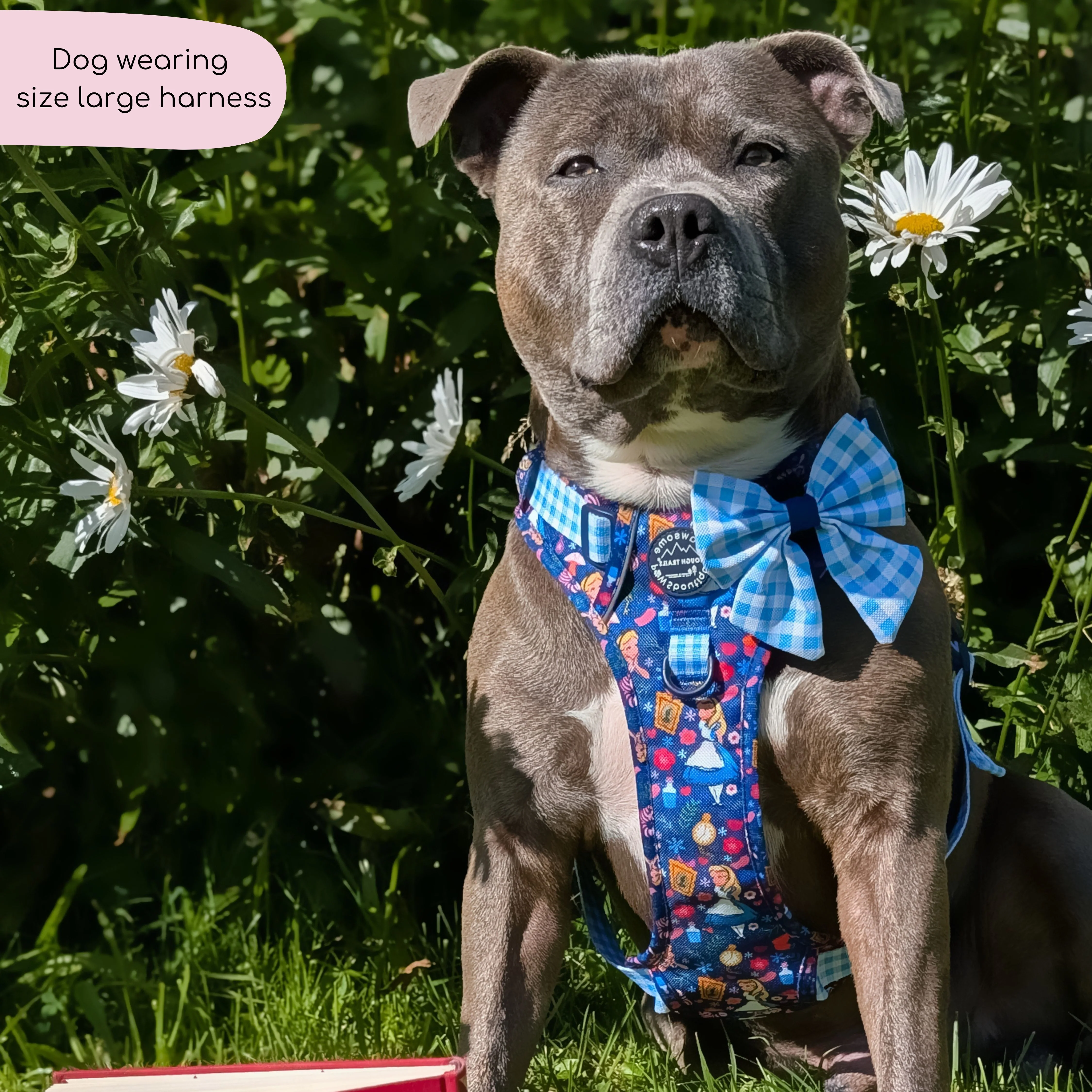 Disney© Tough Trails™ Harness - Alice In Wonderland - Image 20