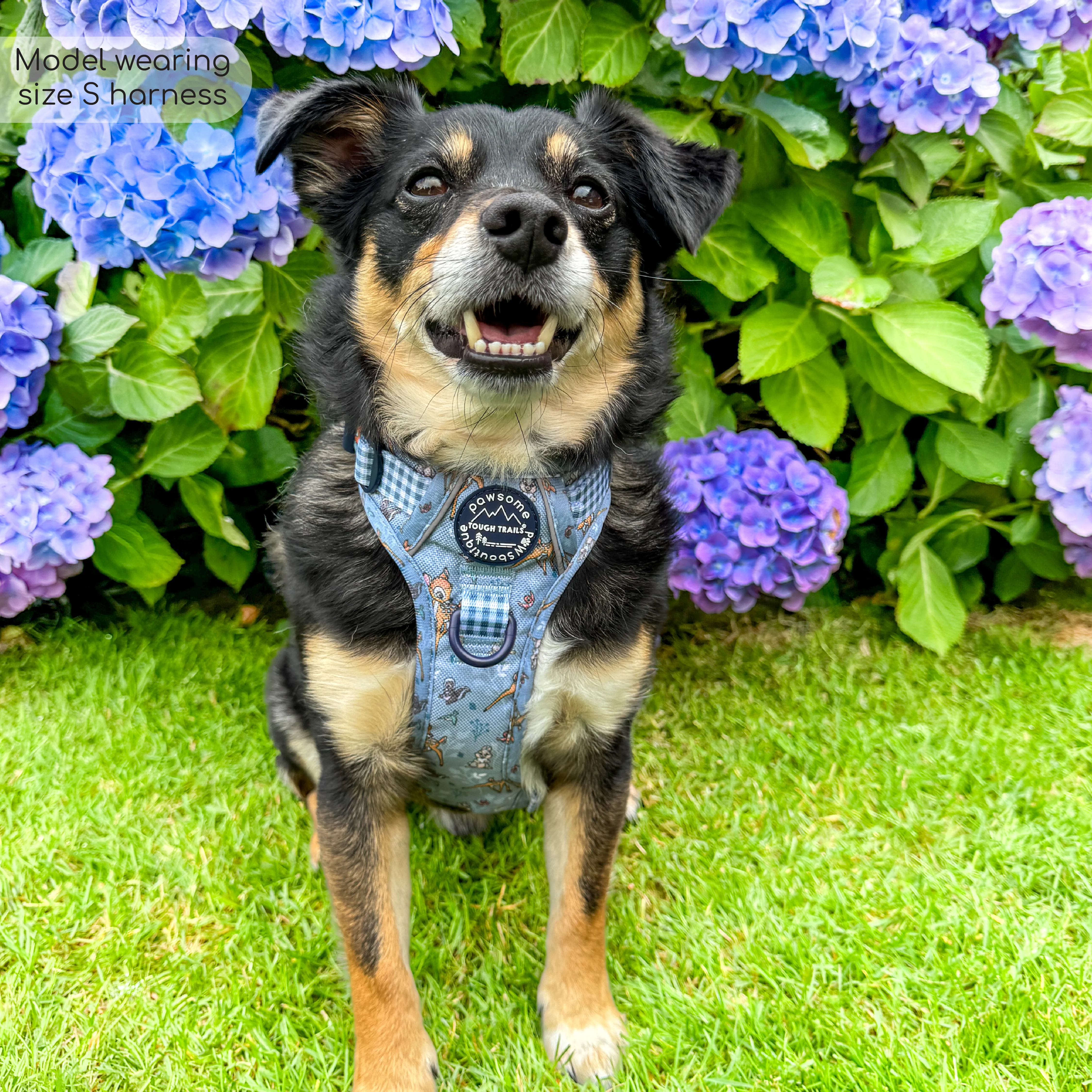 Disney© Tough Trails™ Harness - Bambi + Friends Blue - Image 7