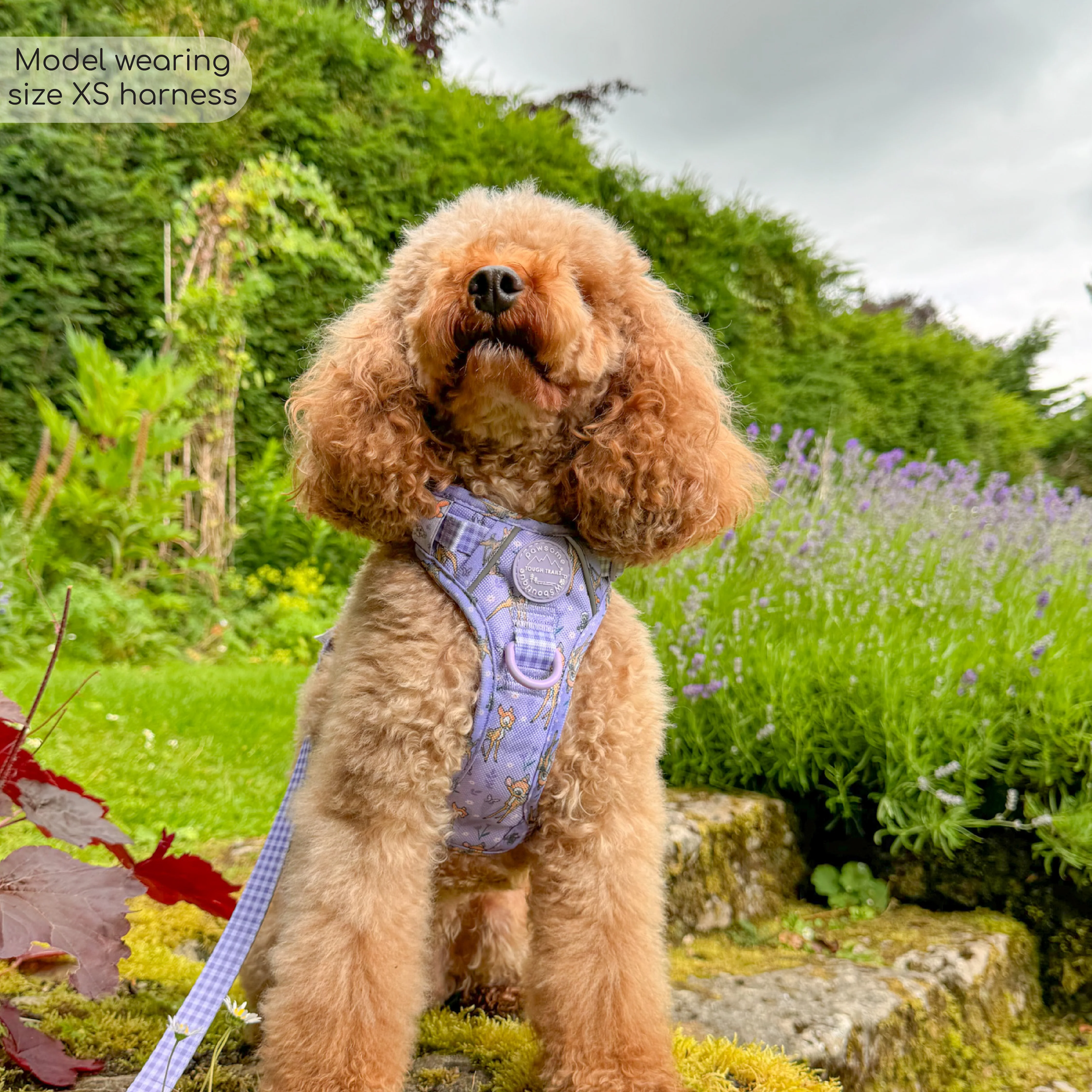 Disney© Tough Trails™ Harness - Bambi + Friends Lilac - Image 16