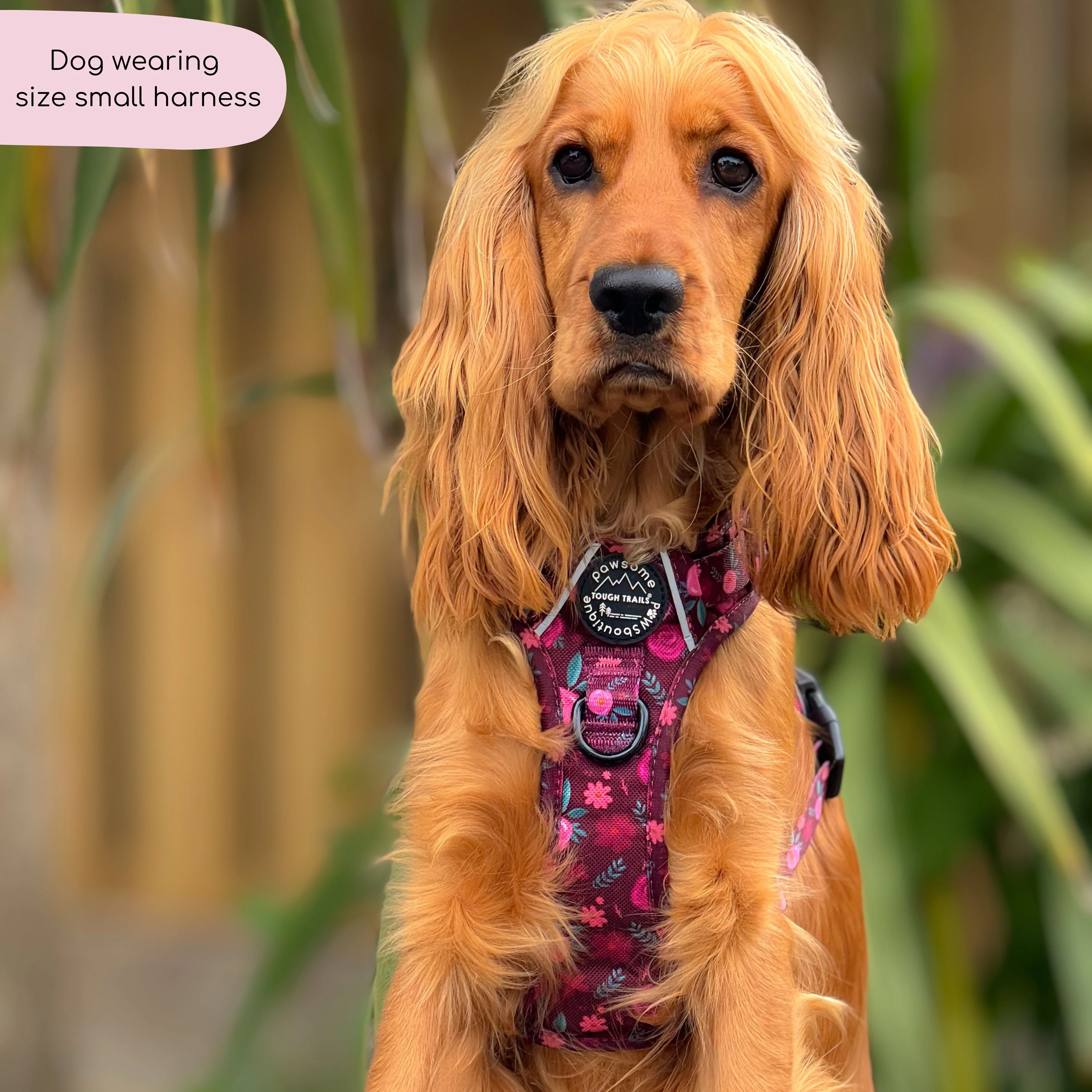Tough Trails™ Harness - Mable's Meadow - Image 18