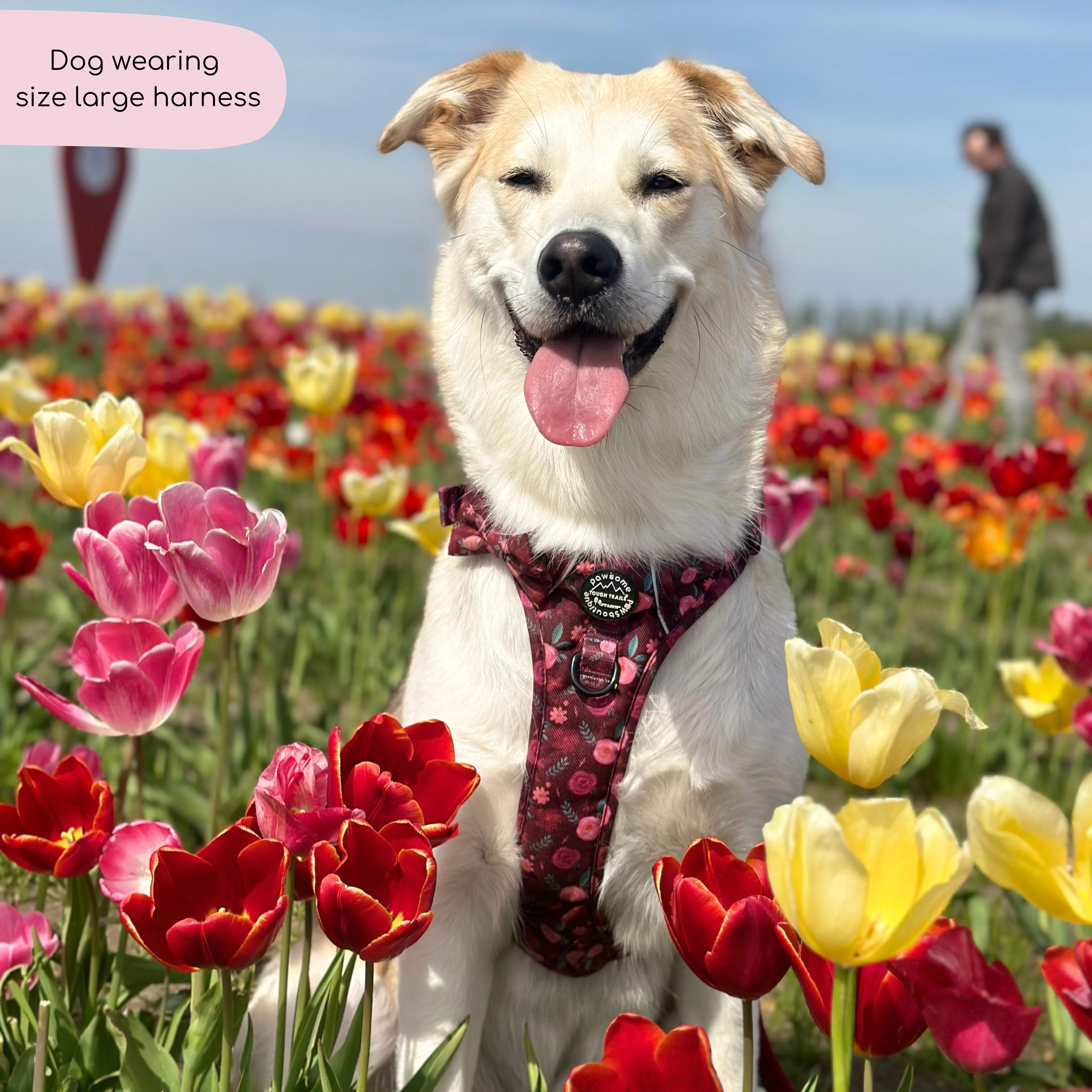 Tough Trails™ Harness - Mable's Meadow - Image 7