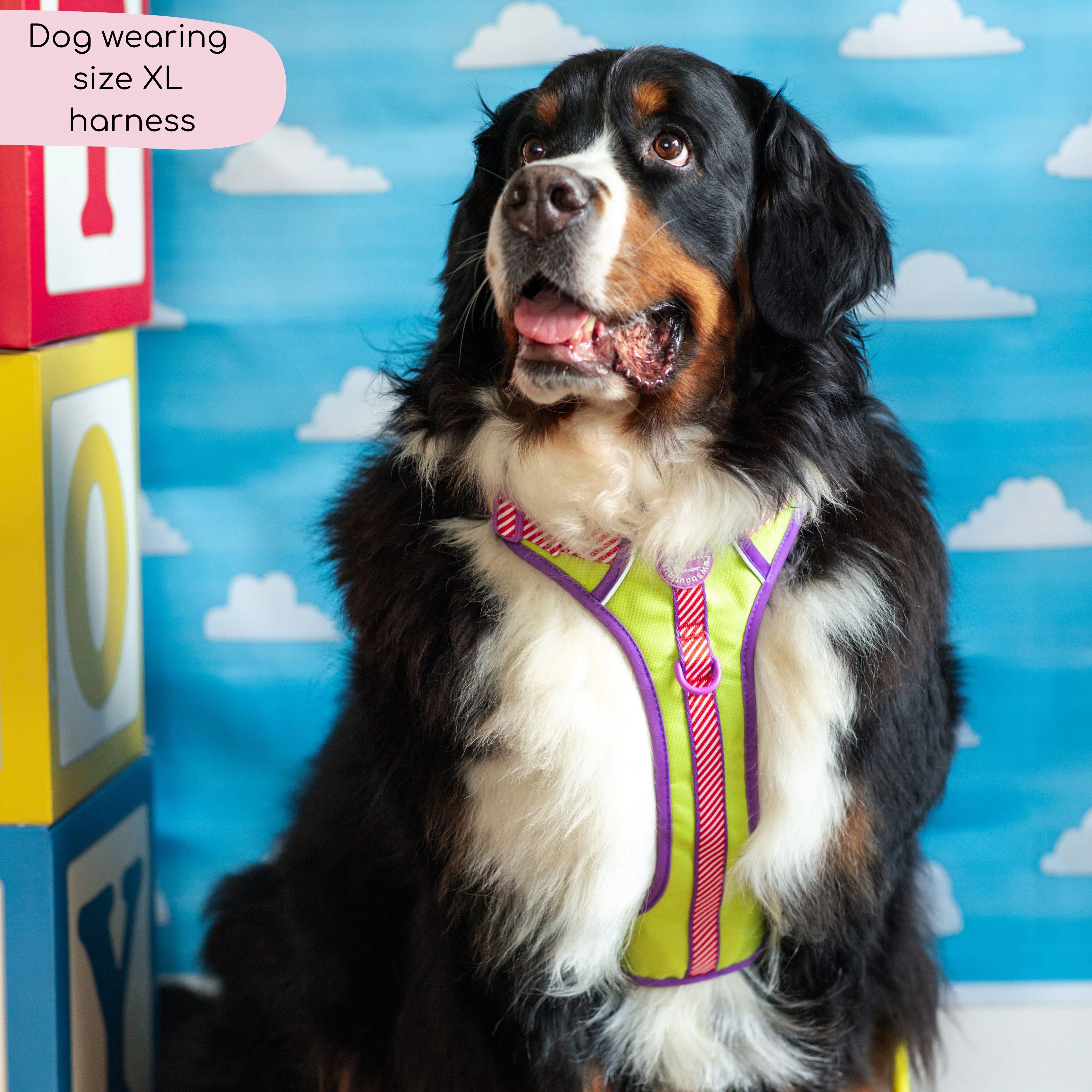 Disney© Tough Trails™ Harness - Buzz Lightyear - Image 17