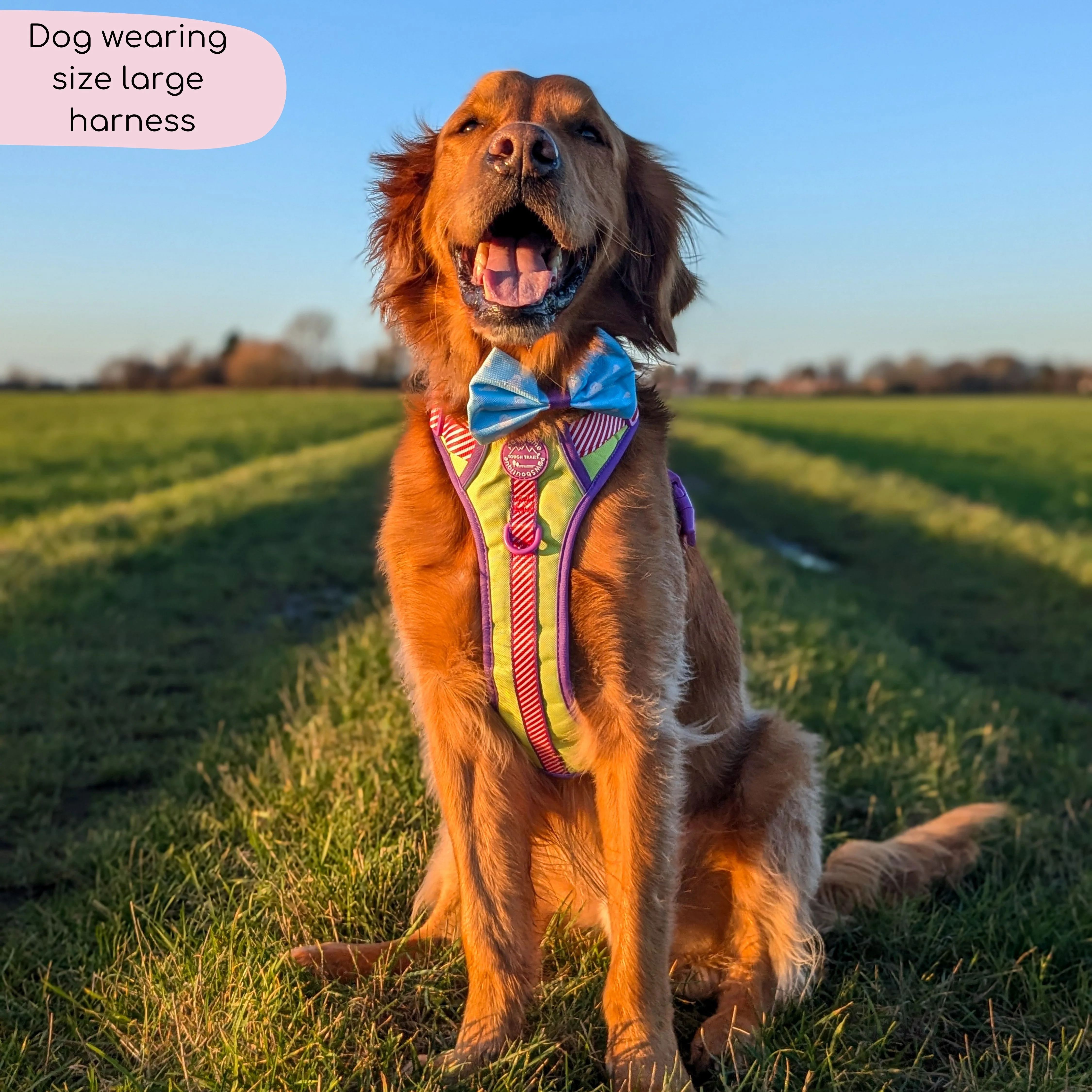 Disney© Tough Trails™ Harness - Buzz Lightyear - Image 7