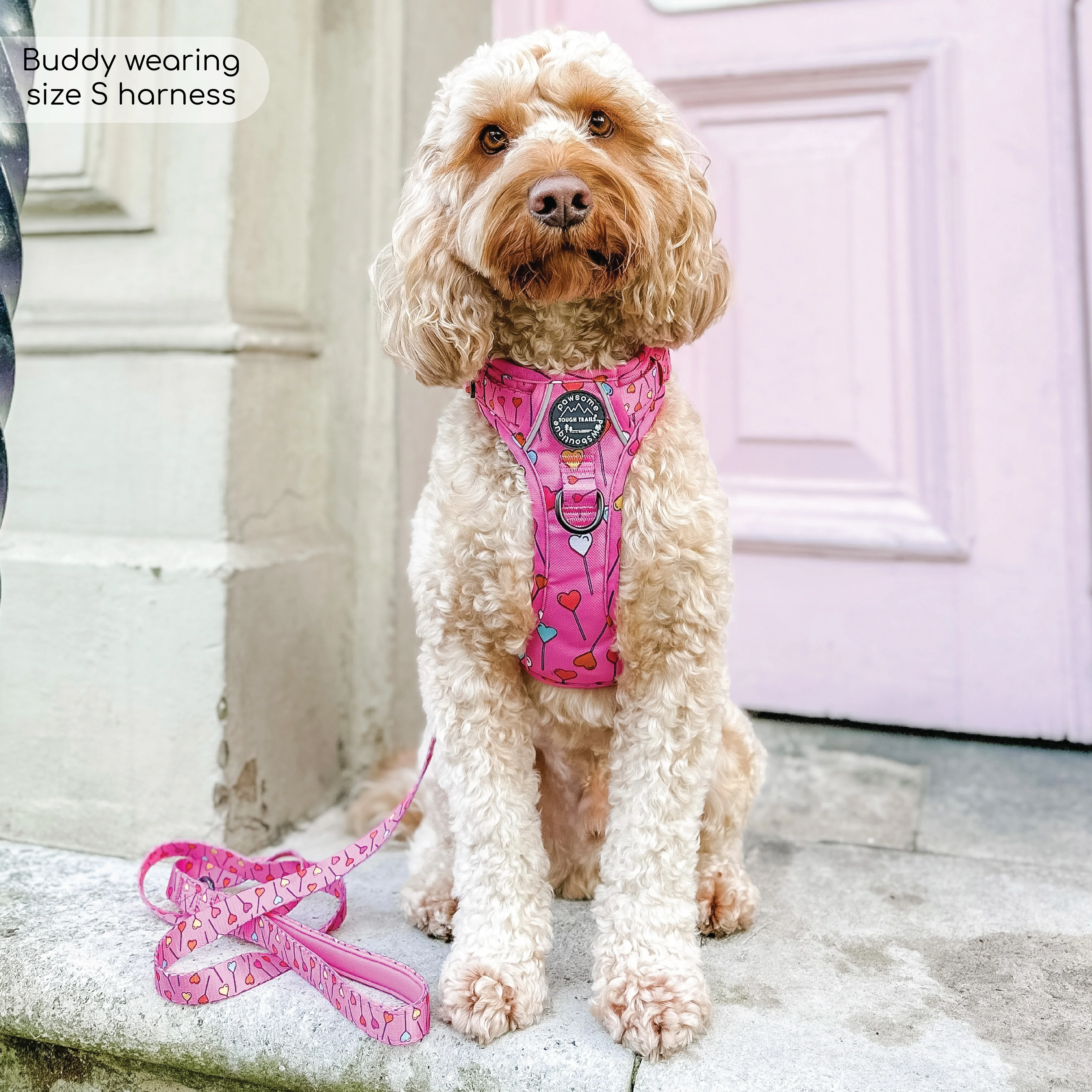 Tough Trails™ Harness - Candypop - Image 10