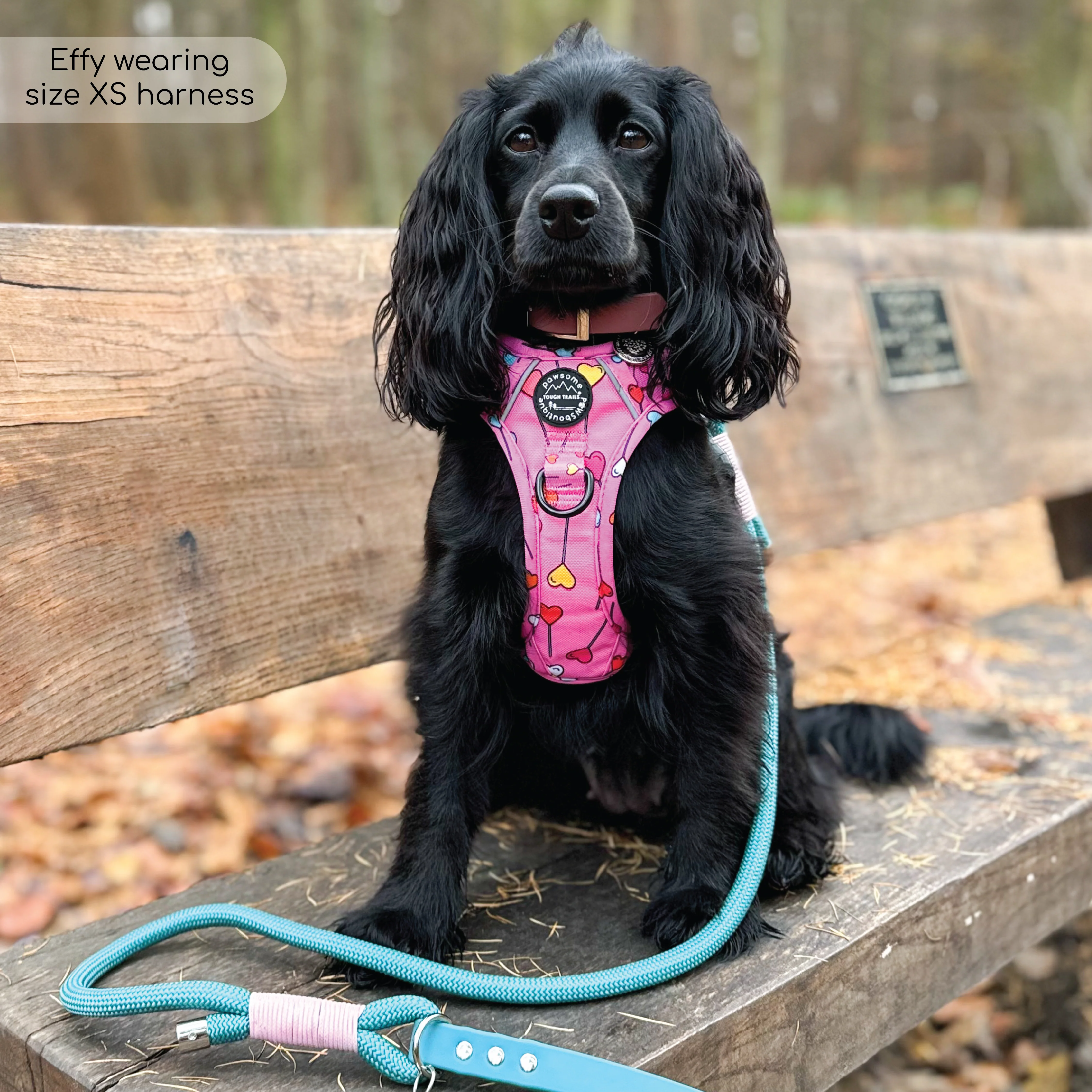 Tough Trails™ Harness - Candypop - Image 11