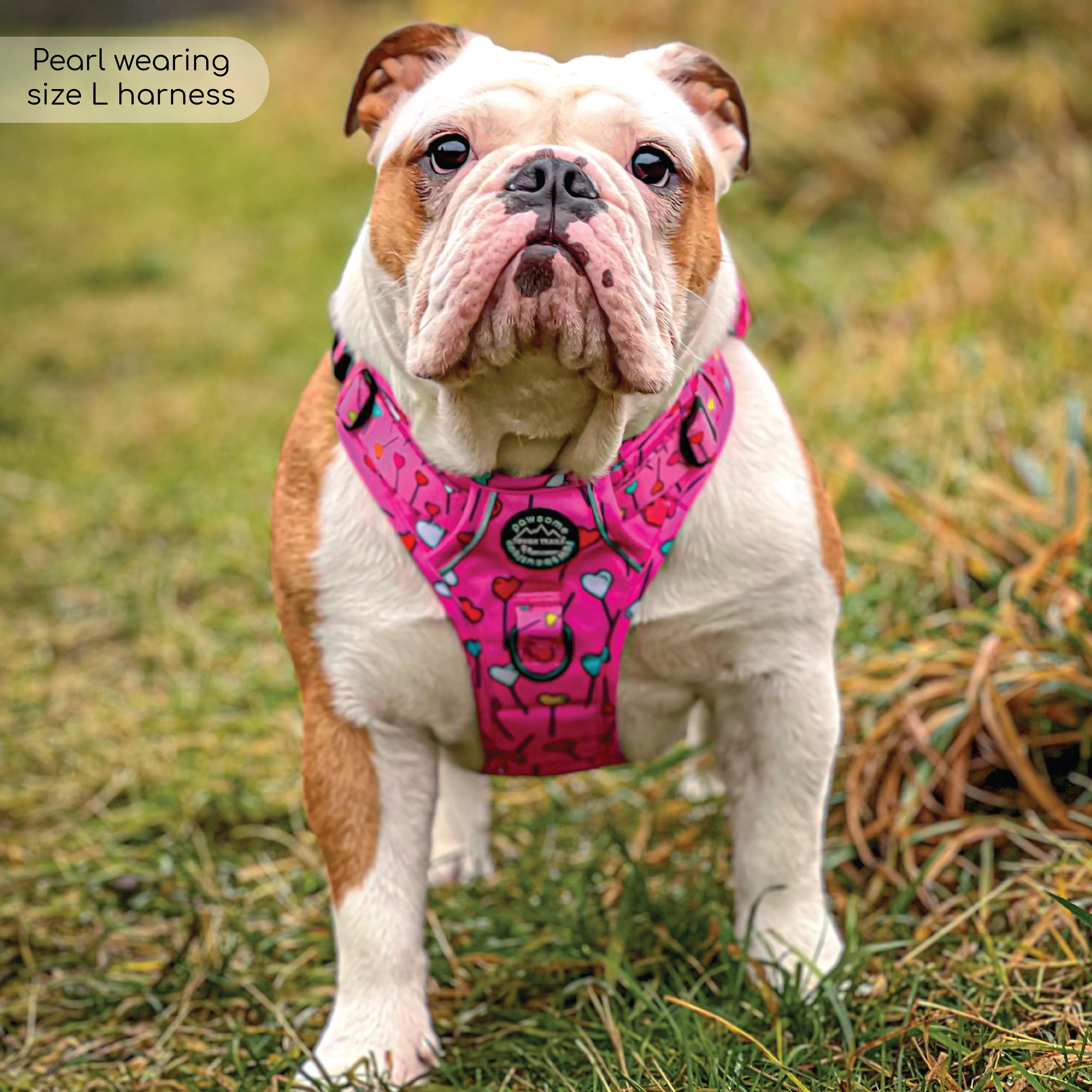Tough Trails™ Harness - Candypop - Image 12