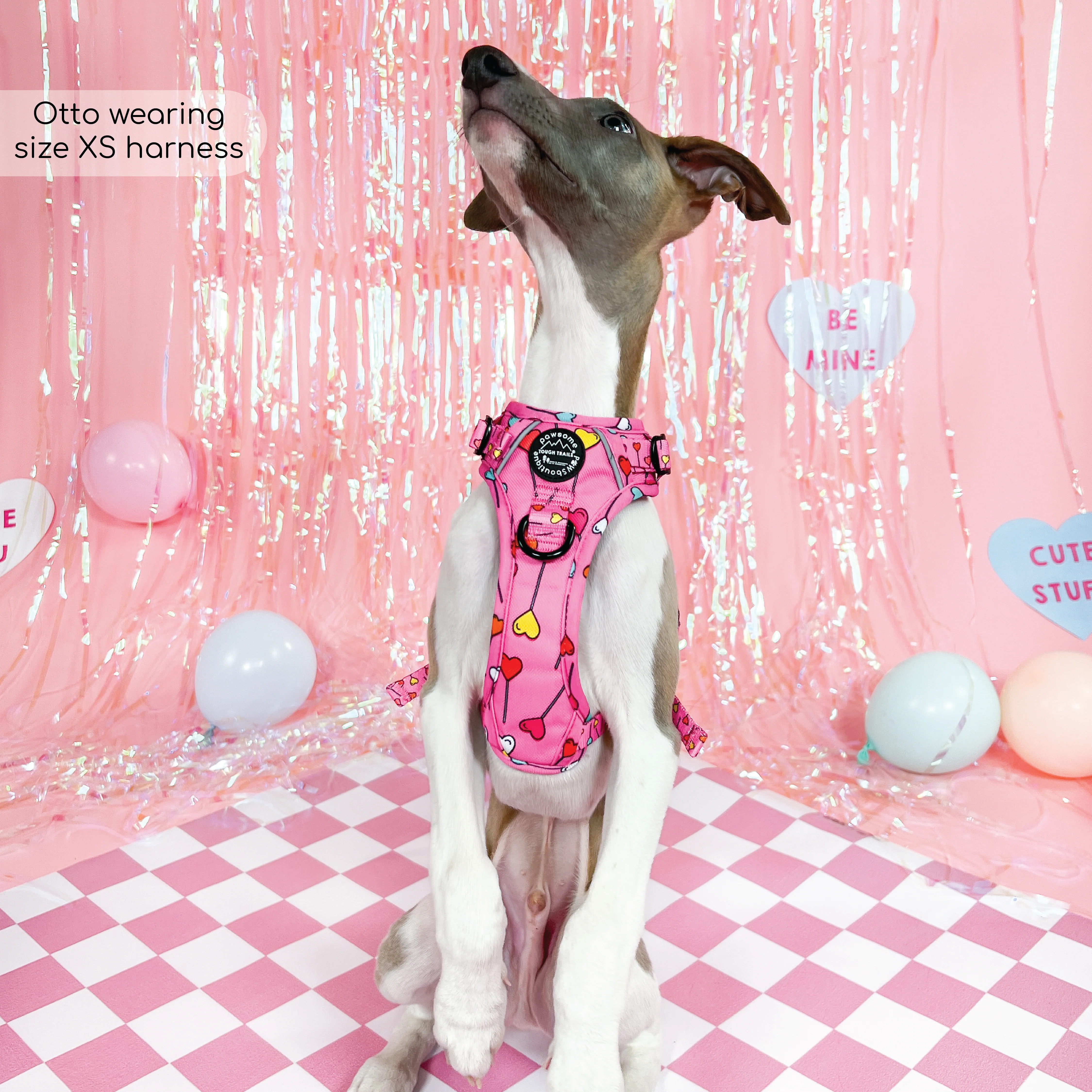 Tough Trails™ Harness - Candypop - Image 14
