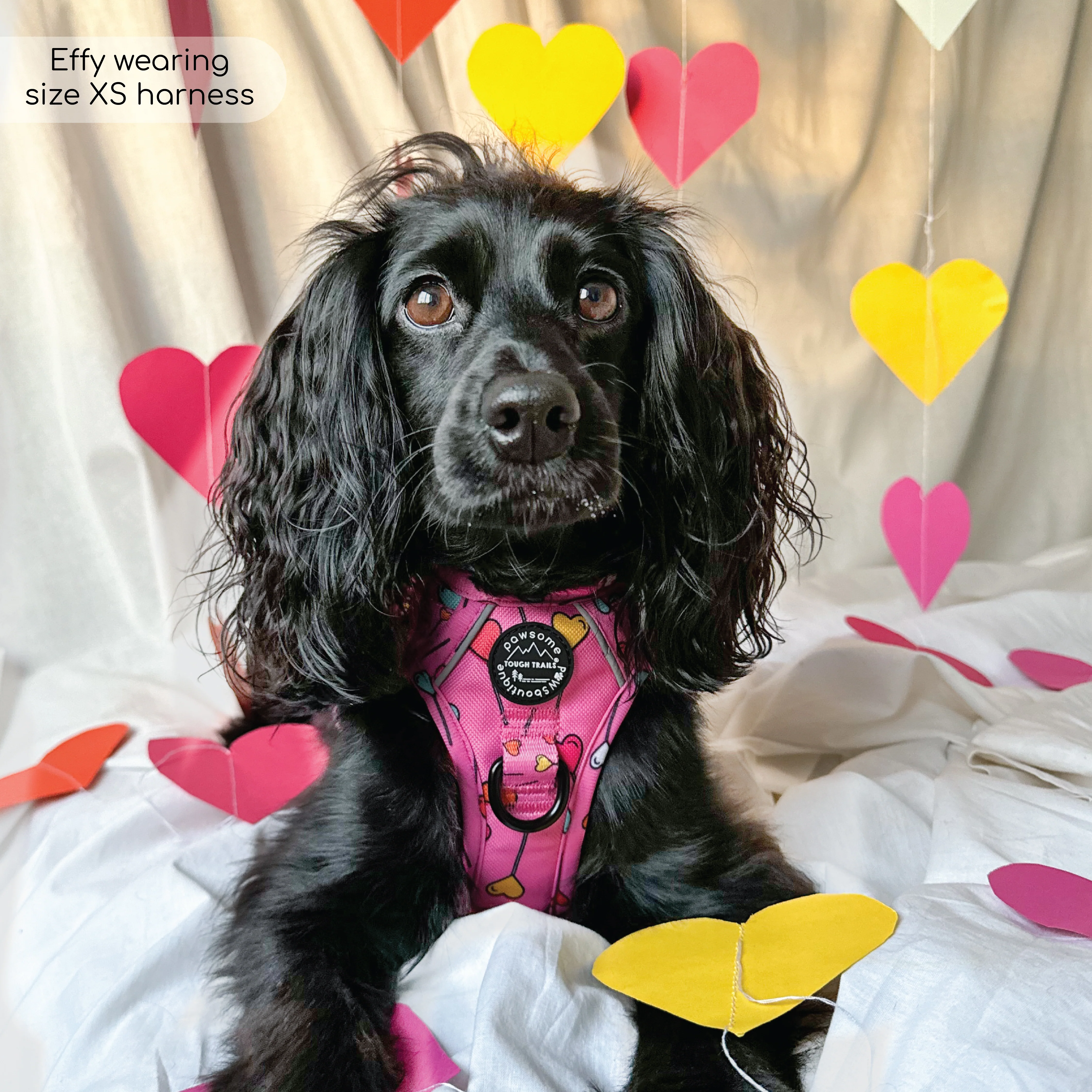 Tough Trails™ Harness - Candypop - Image 15