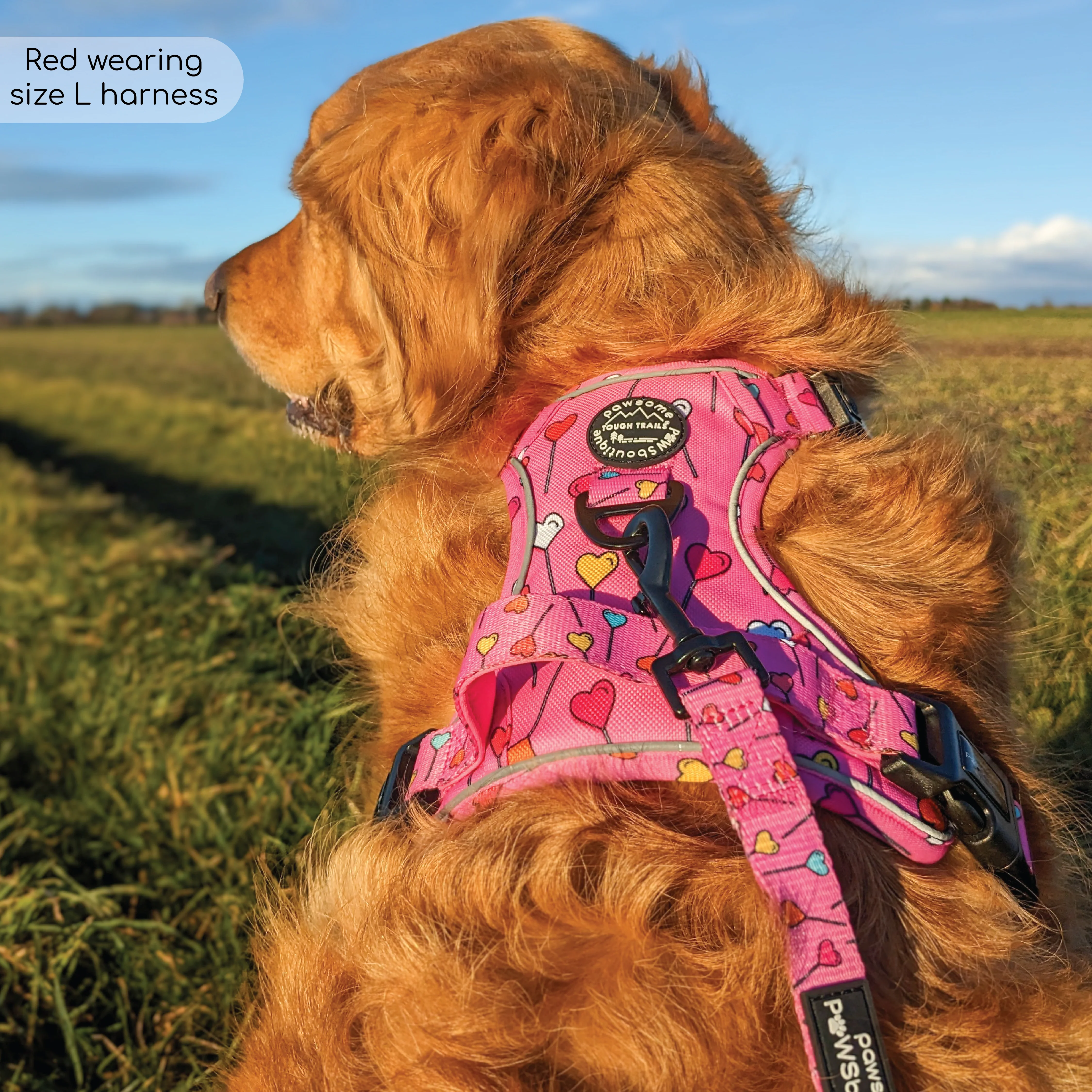 Tough Trails™ Harness - Candypop - Image 16