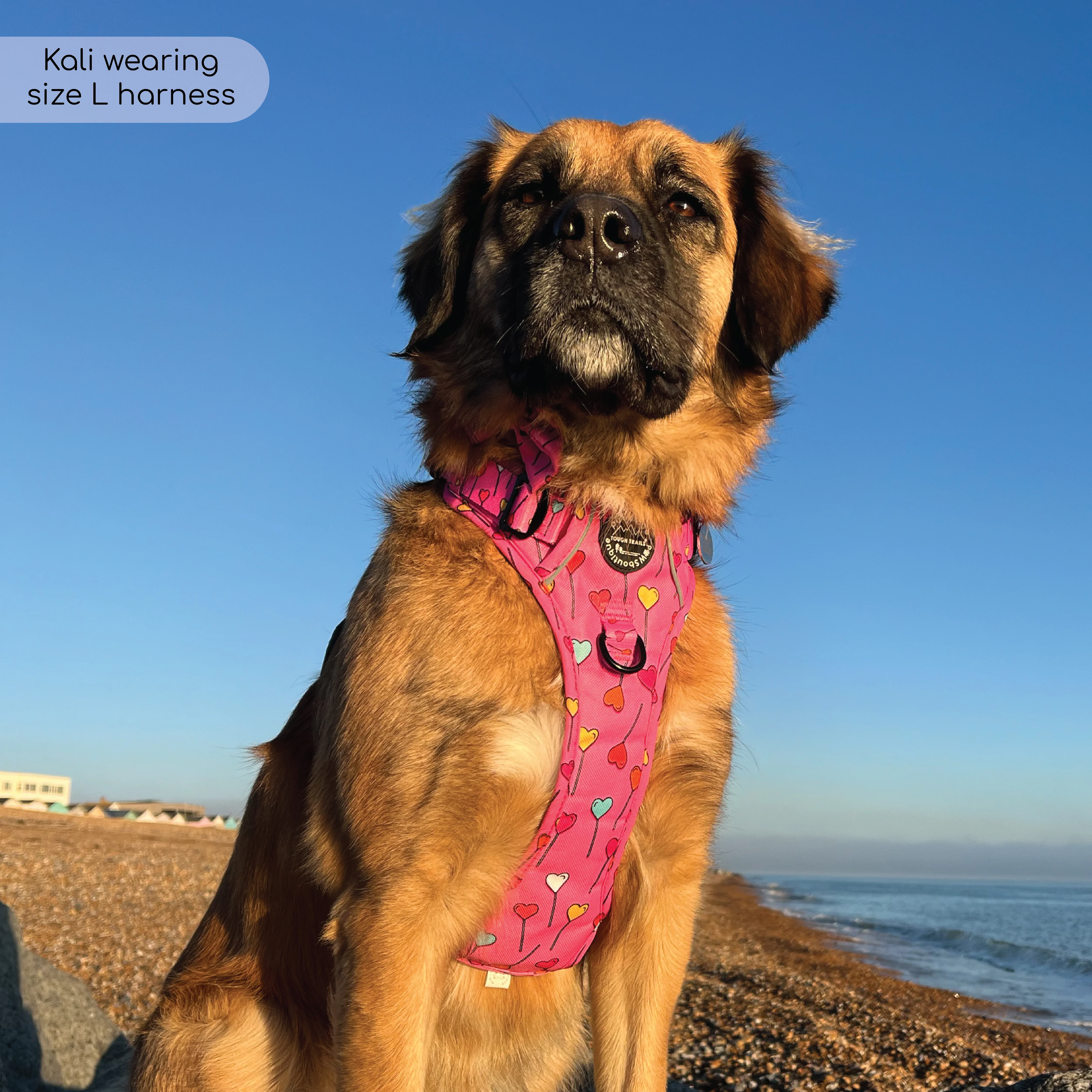 Tough Trails™ Harness - Candypop - Image 17