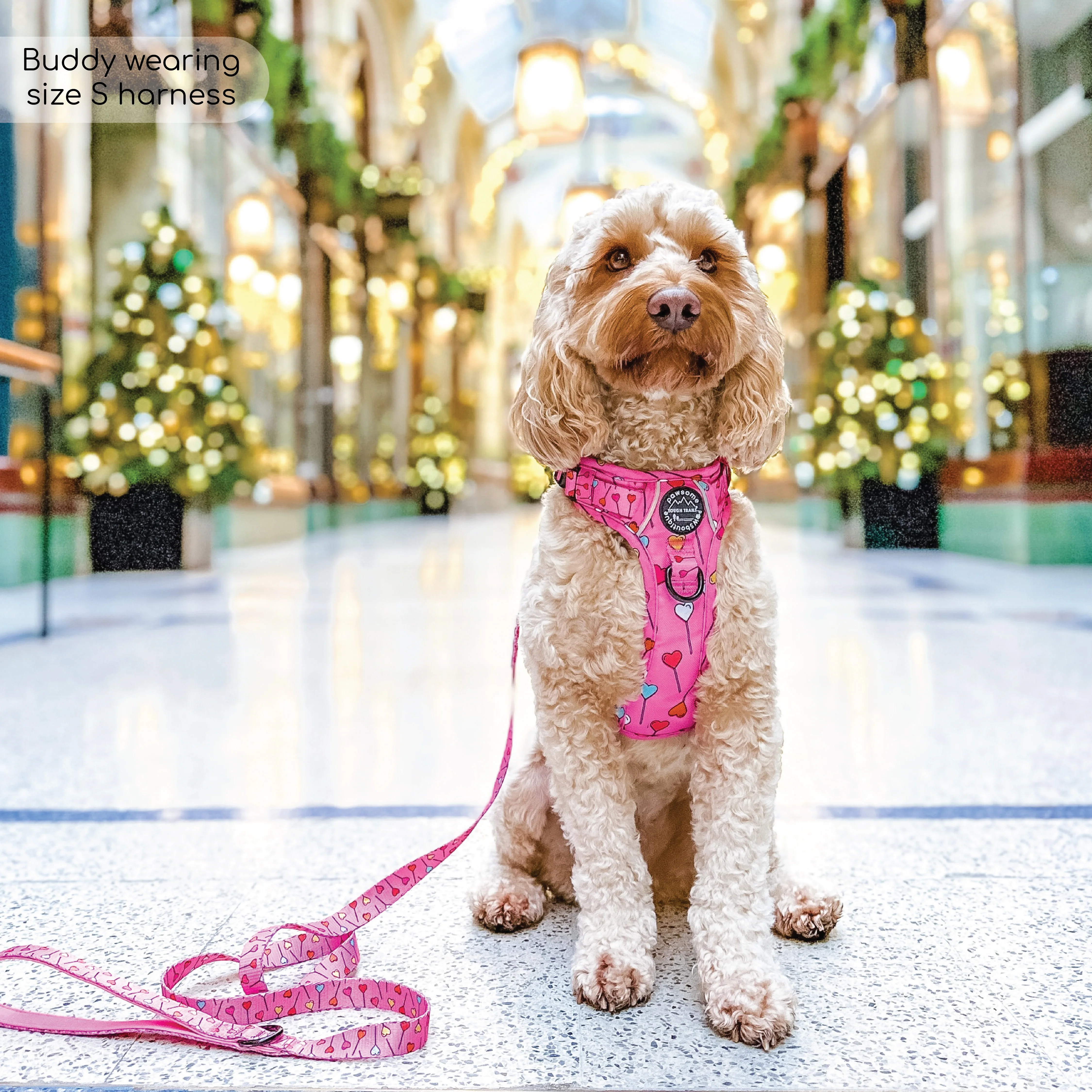 Tough Trails™ Harness - Candypop - Image 18