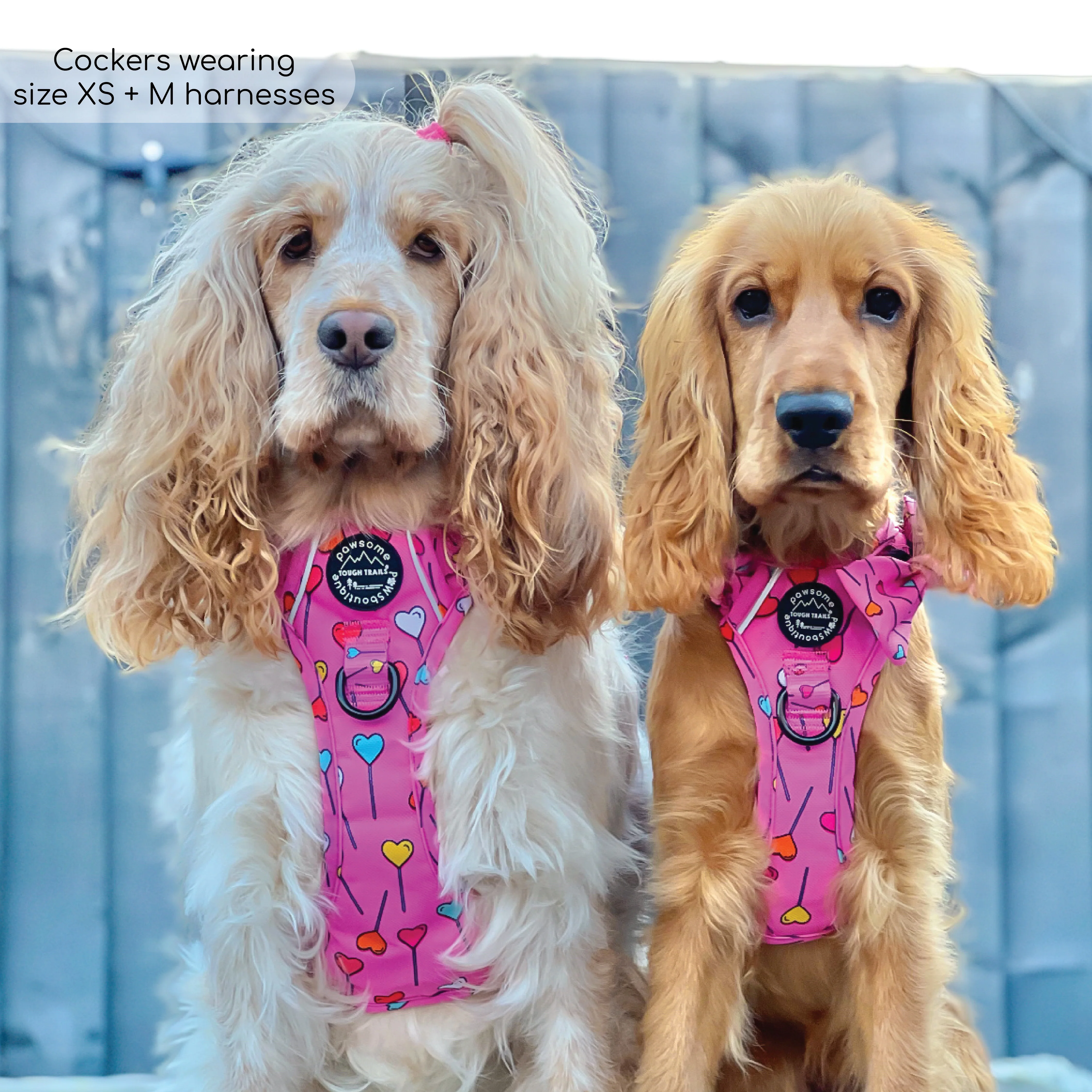 Tough Trails™ Harness - Candypop - Image 20