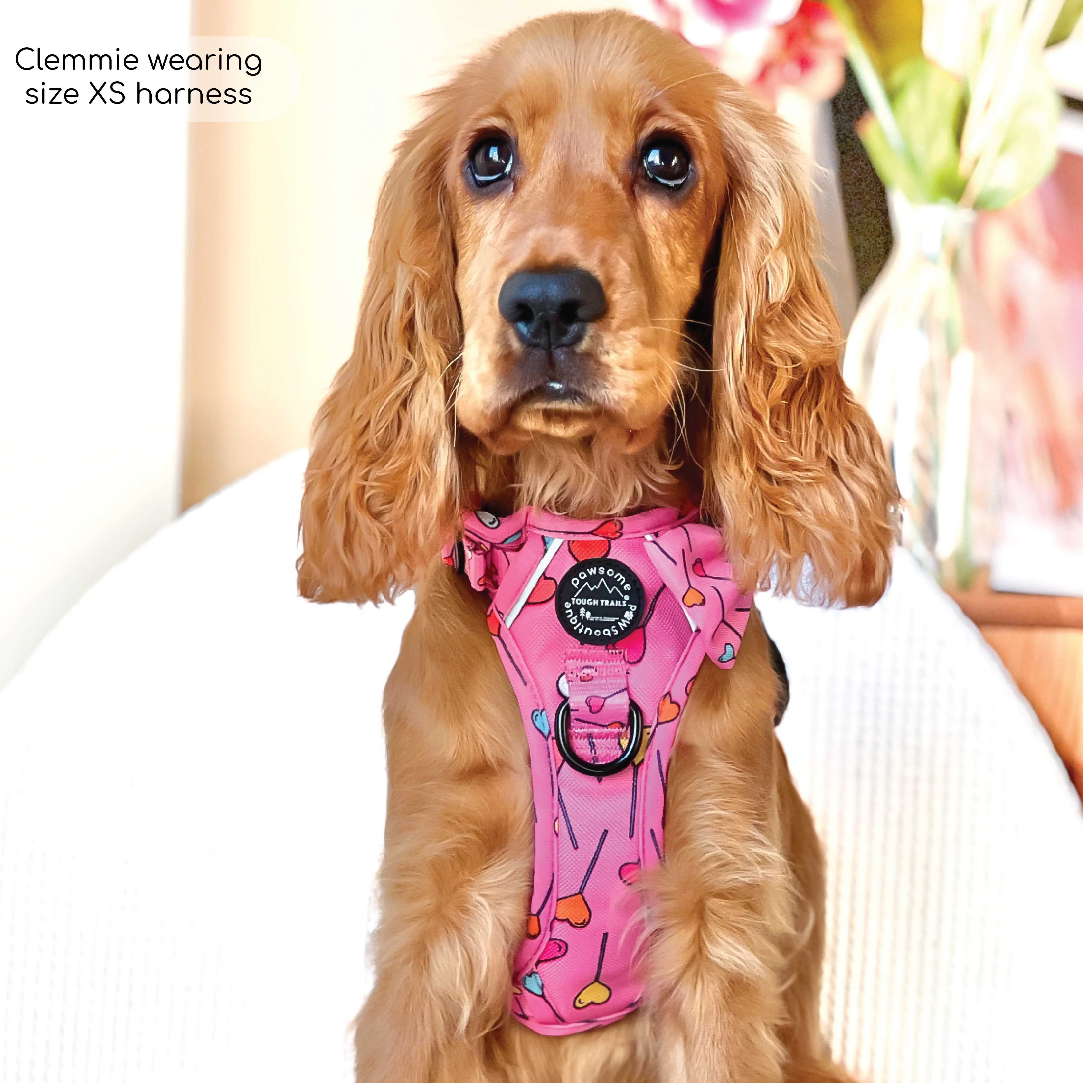 Tough Trails™ Harness - Candypop - Image 21