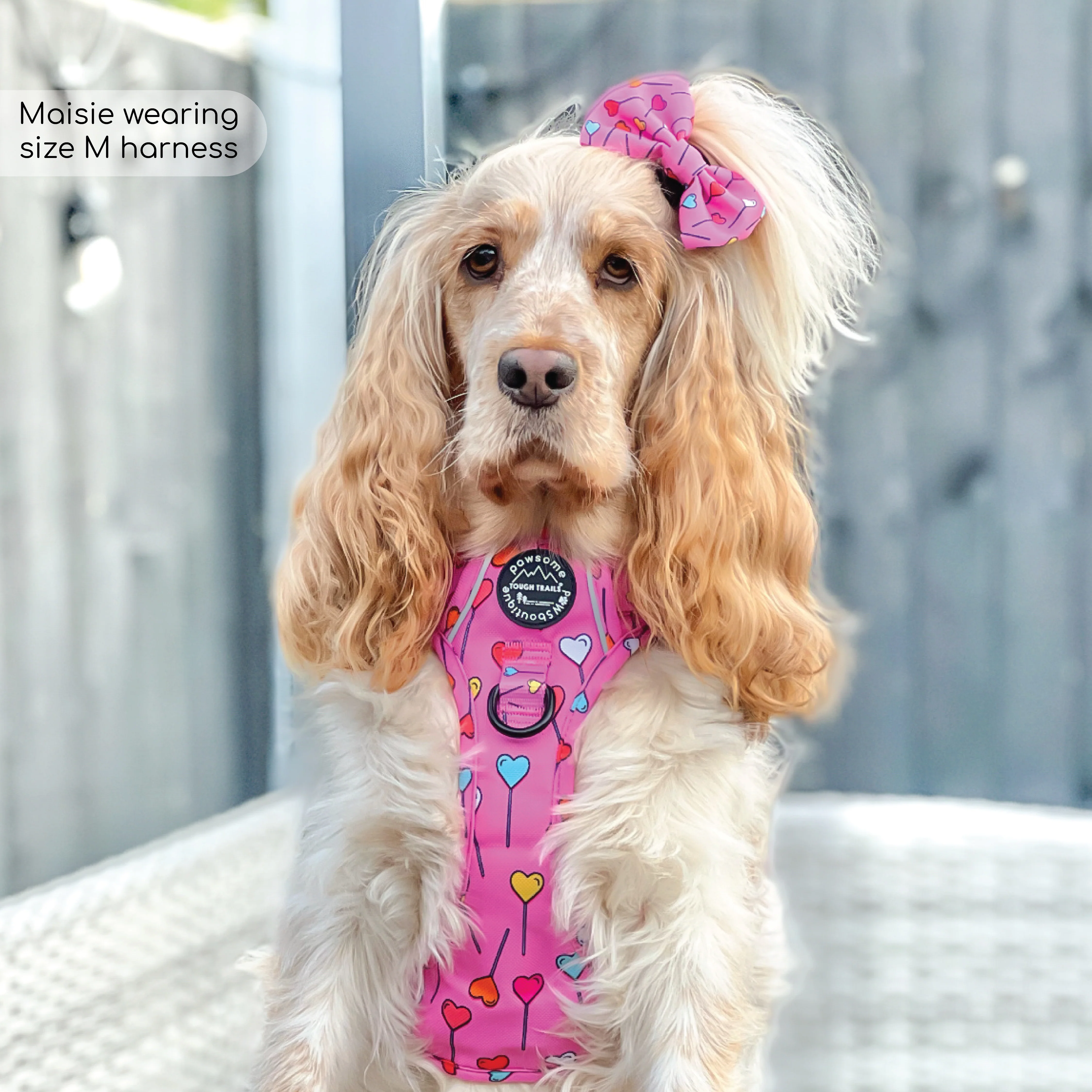 Tough Trails™ Harness - Candypop - Image 5