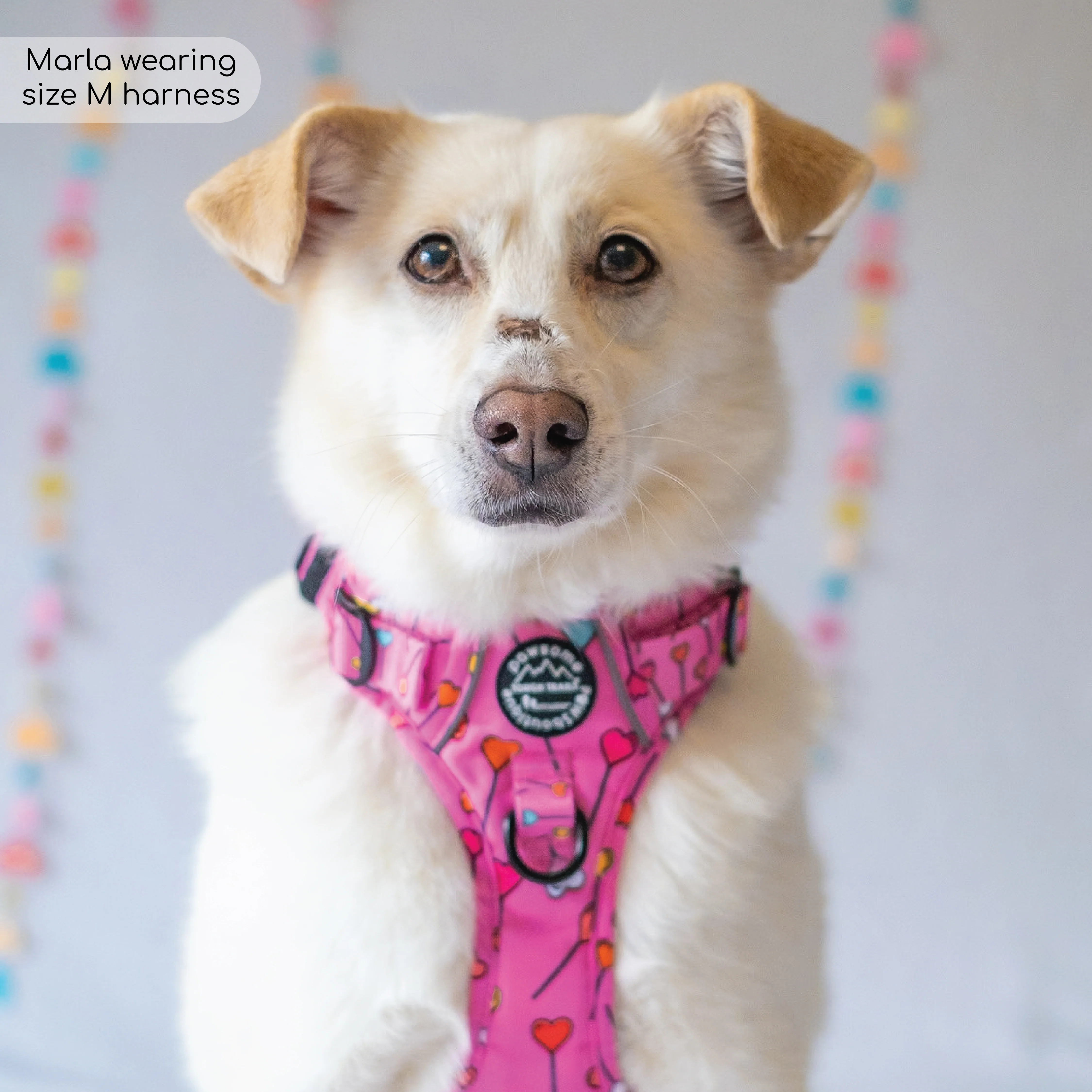 Tough Trails™ Harness - Candypop - Image 6