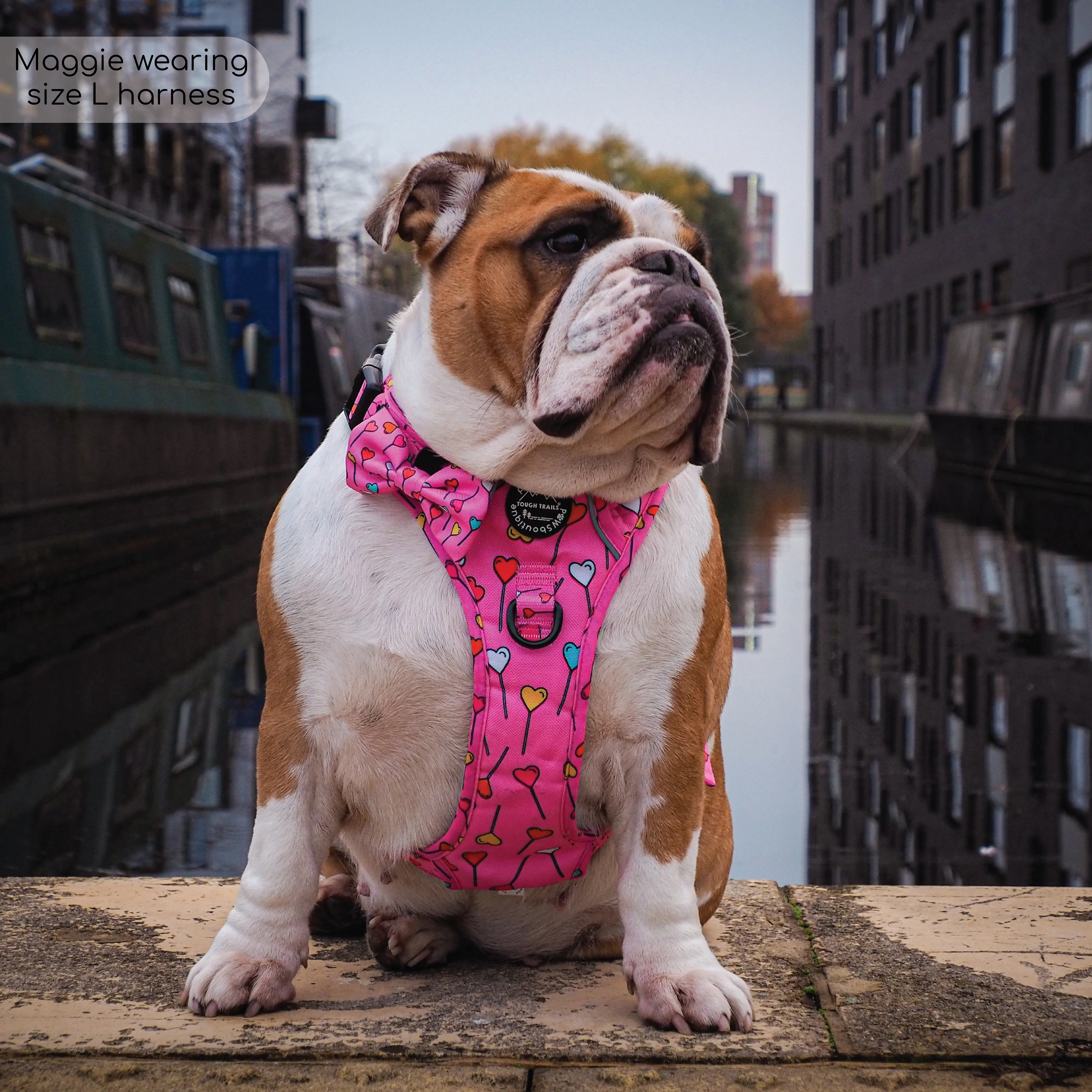 Tough Trails™ Harness - Candypop - Image 8