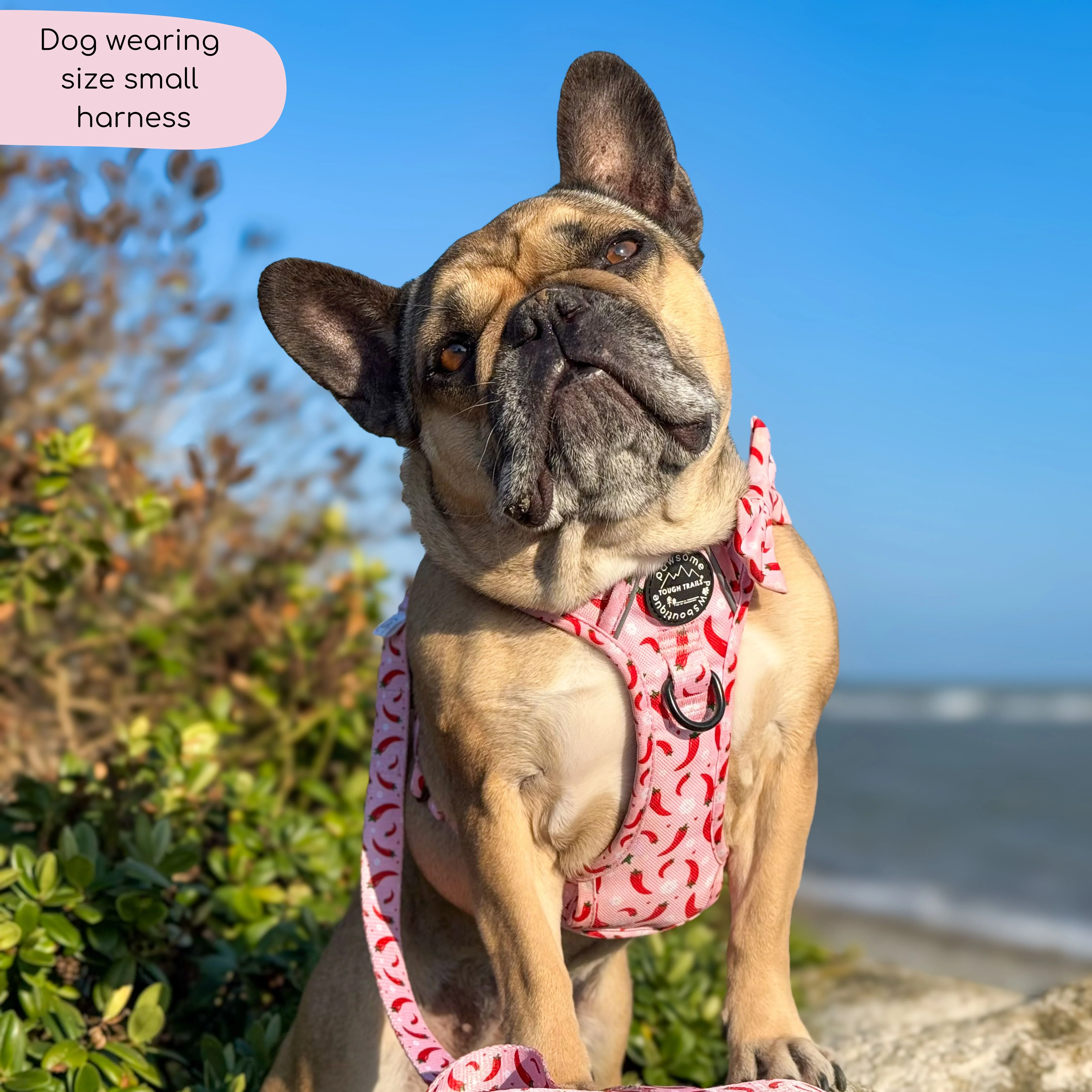 Tough Trails™ Harness - Chilli Dog - Image 10