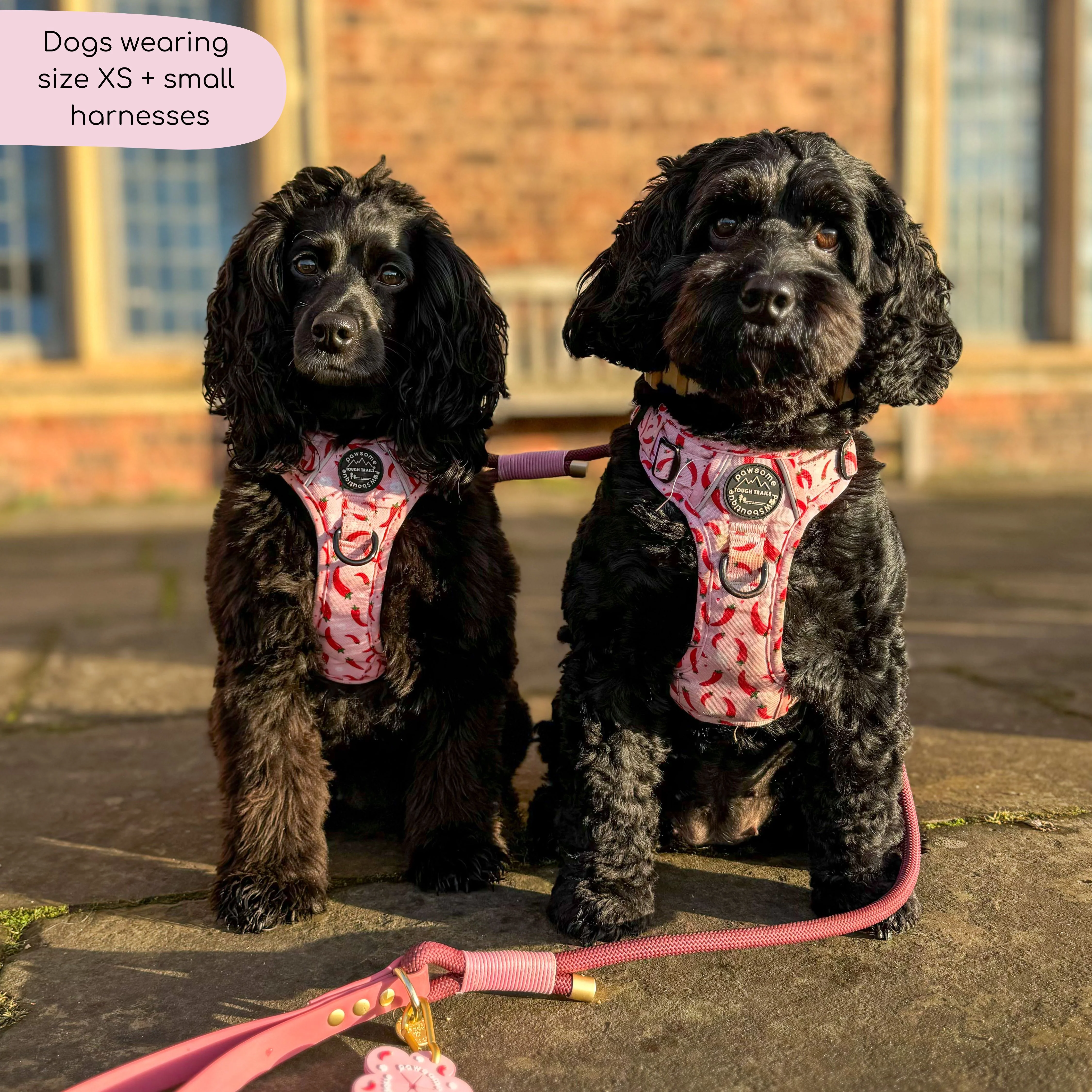 Tough Trails™ Harness - Chilli Dog - Image 11