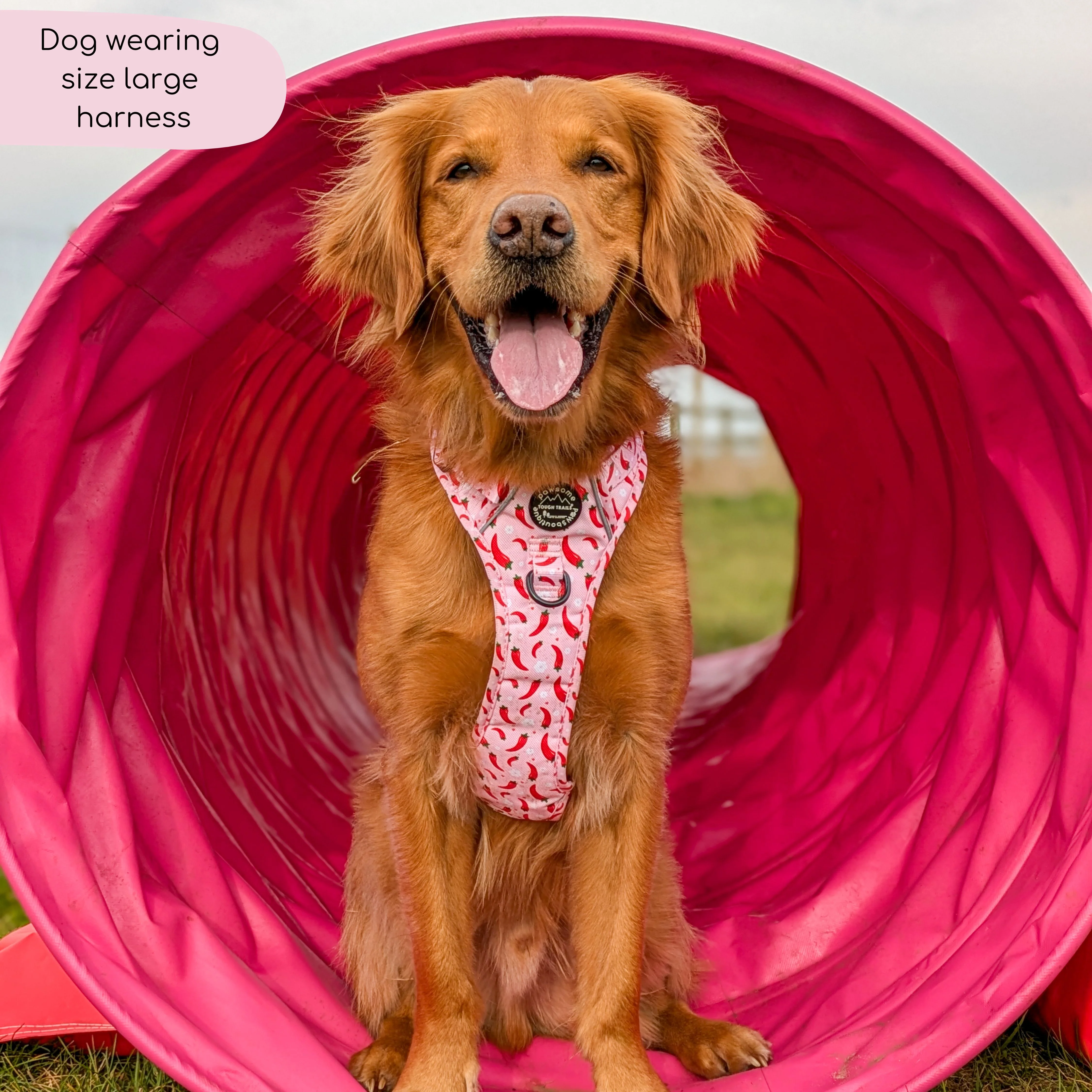 Tough Trails™ Harness - Chilli Dog - Image 12