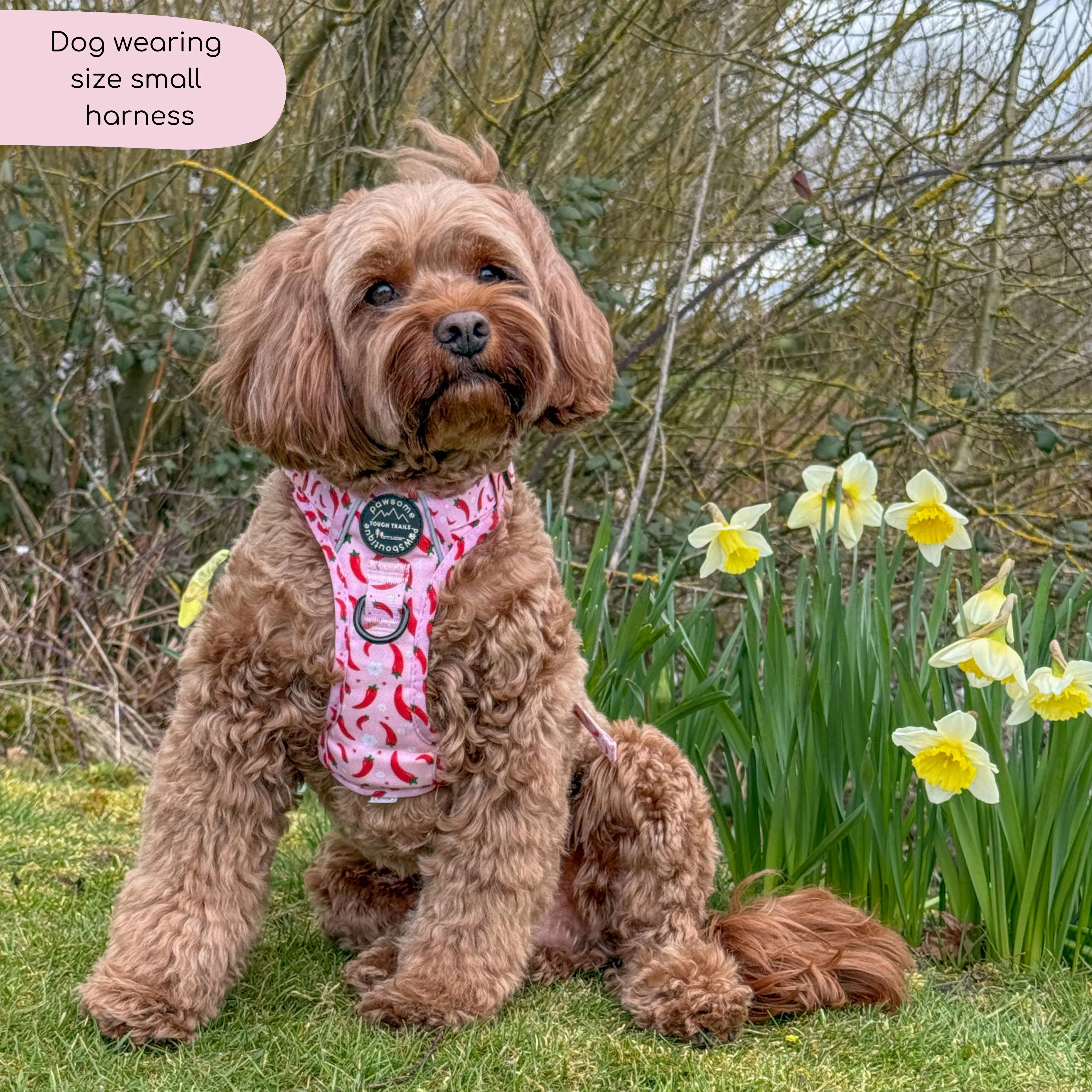 Tough Trails™ Harness - Chilli Dog - Image 13