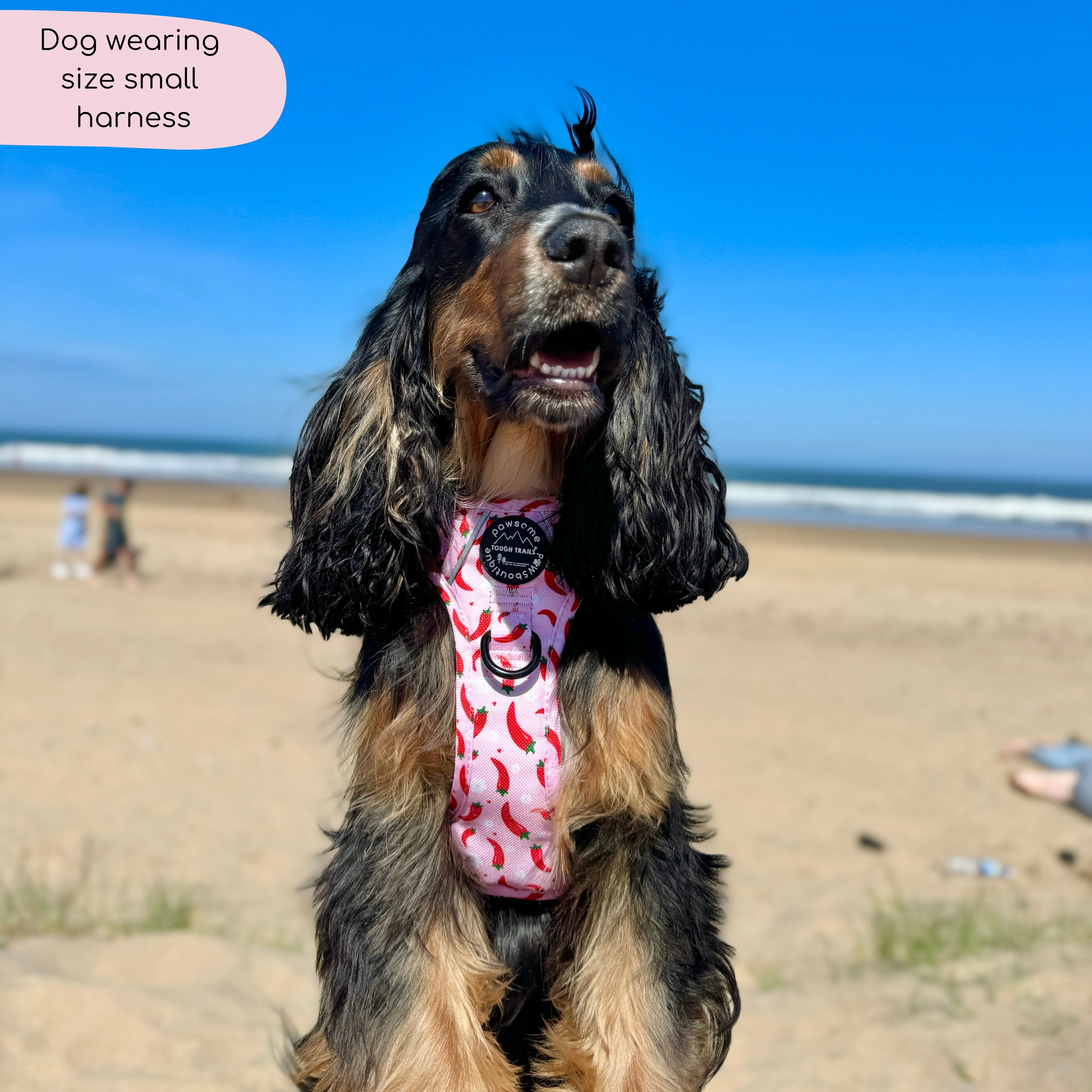Tough Trails™ Harness - Chilli Dog - Image 14