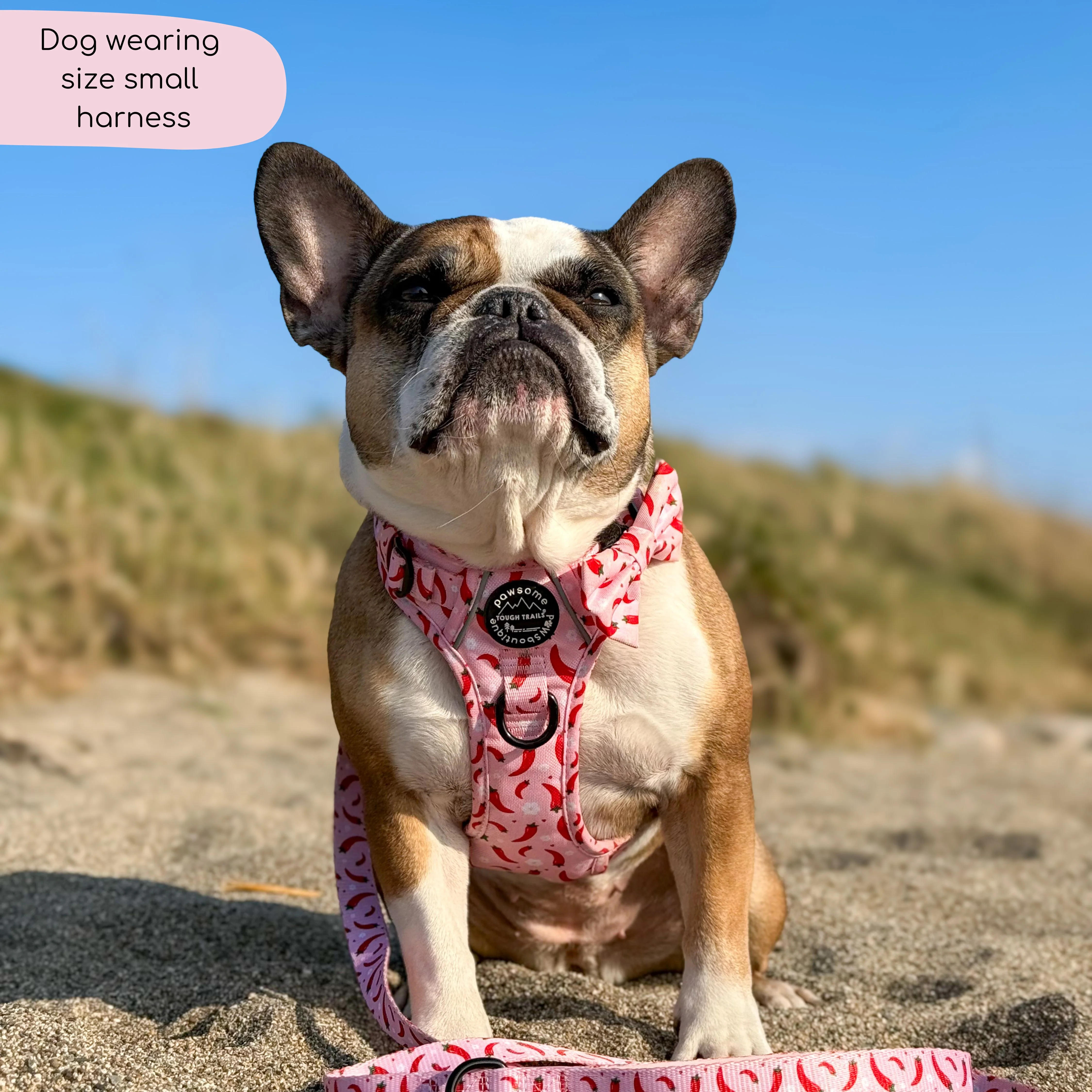 Tough Trails™ Harness - Chilli Dog - Image 15