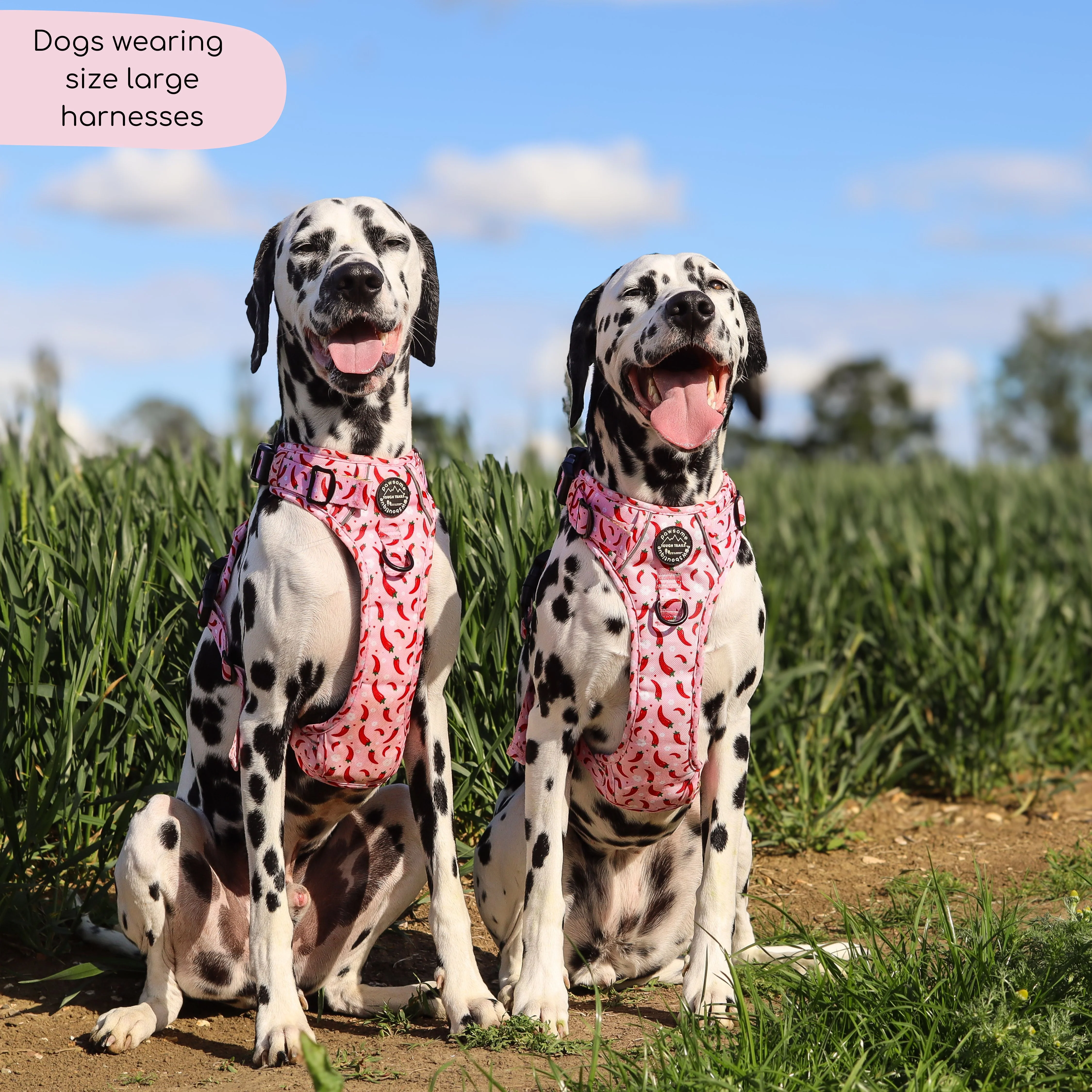 Tough Trails™ Harness - Chilli Dog - Image 4