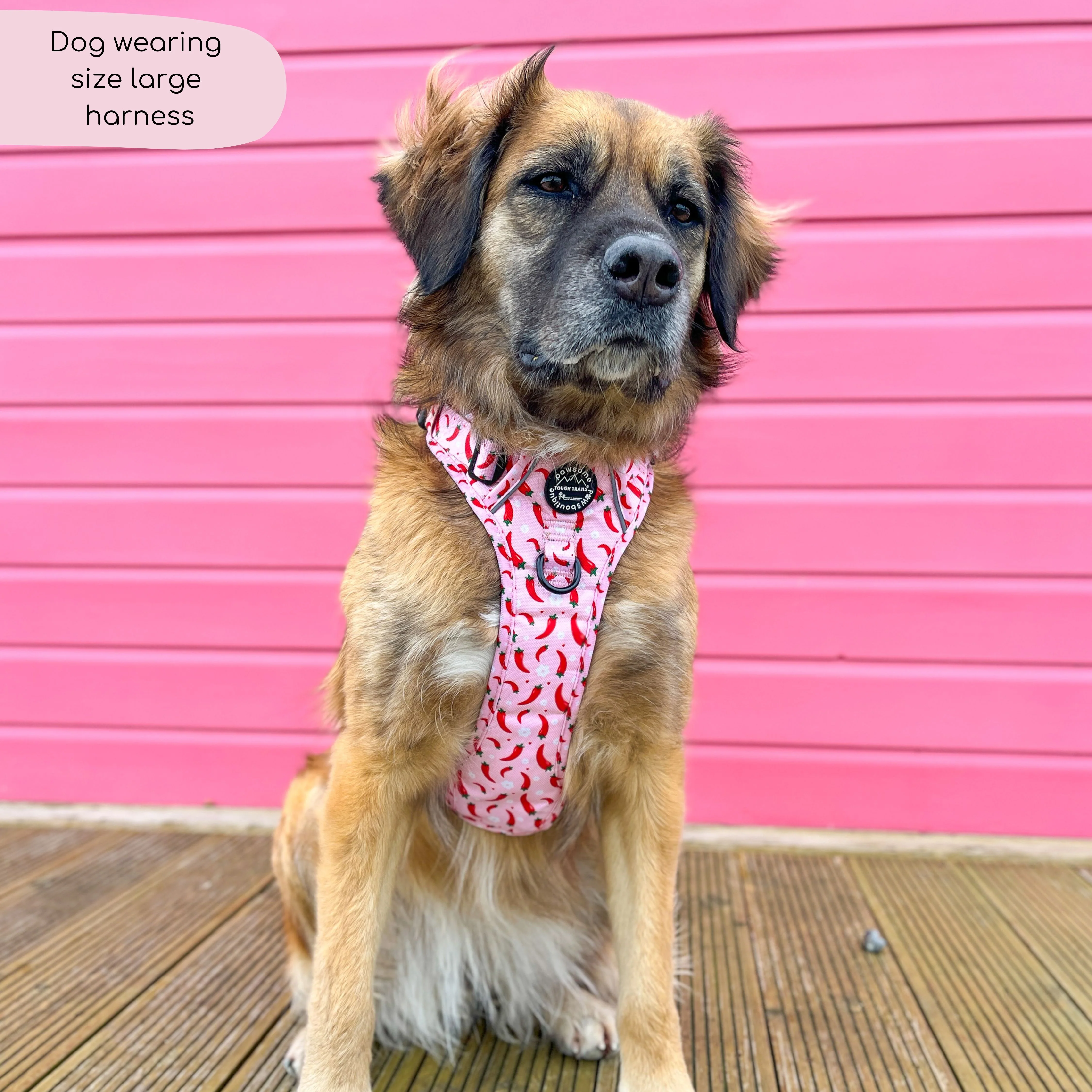 Tough Trails™ Harness - Chilli Dog - Image 8