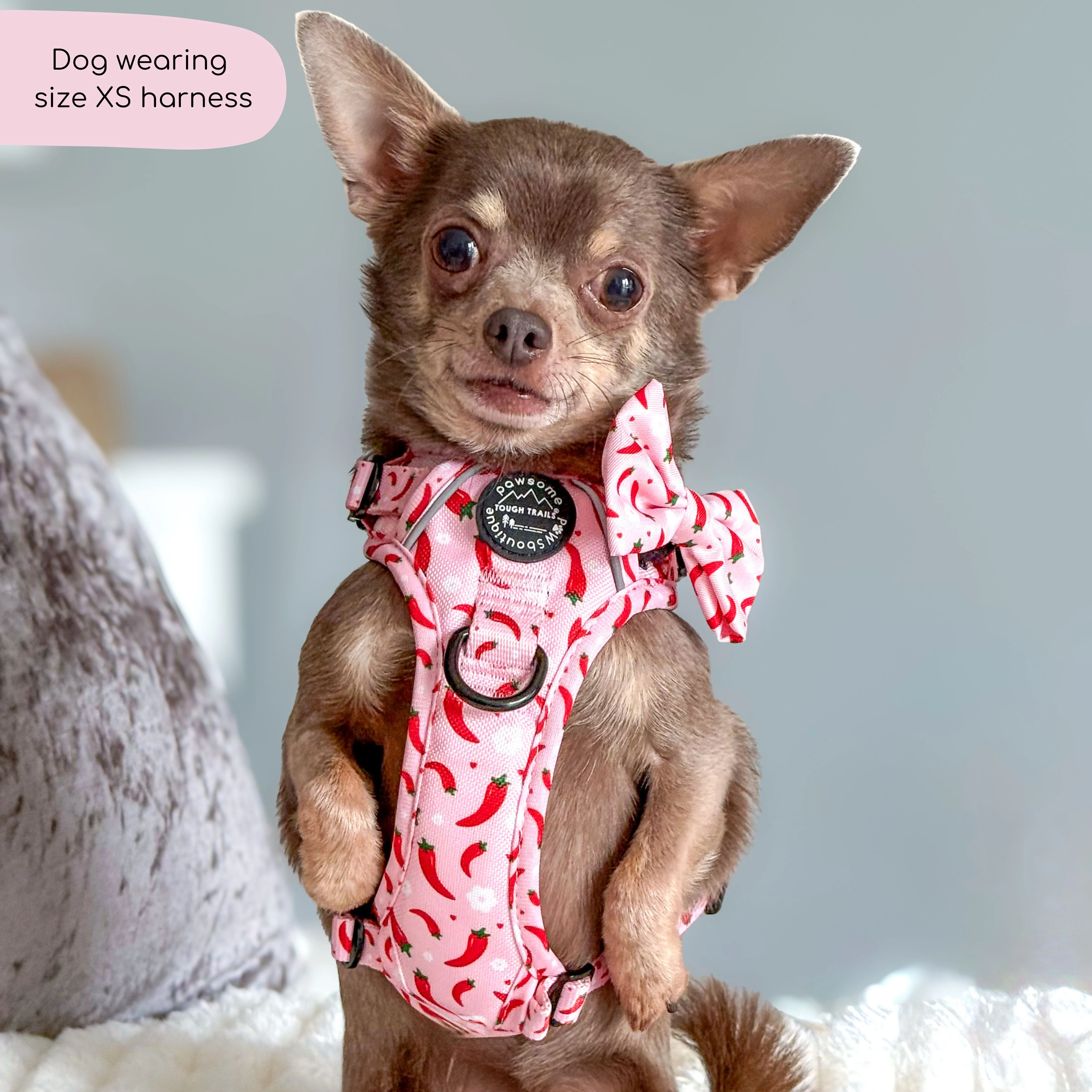 Tough Trails™ Harness - Chilli Dog - Image 9